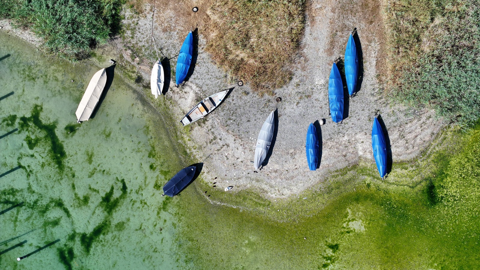 09.07.2026, Baden-W&uuml;rttemberg, Insel Reichenau im Bodensee: Der Bodensee hat Niedrigwasser. Auf der Insel Reichenau im Bodensee liegen die Boote der Berufsfischer an Land. Das seichte Wasser zeigt den niedrigen Wasserstand des Bodensees an. Foto: Felix K&auml;stle/dpa