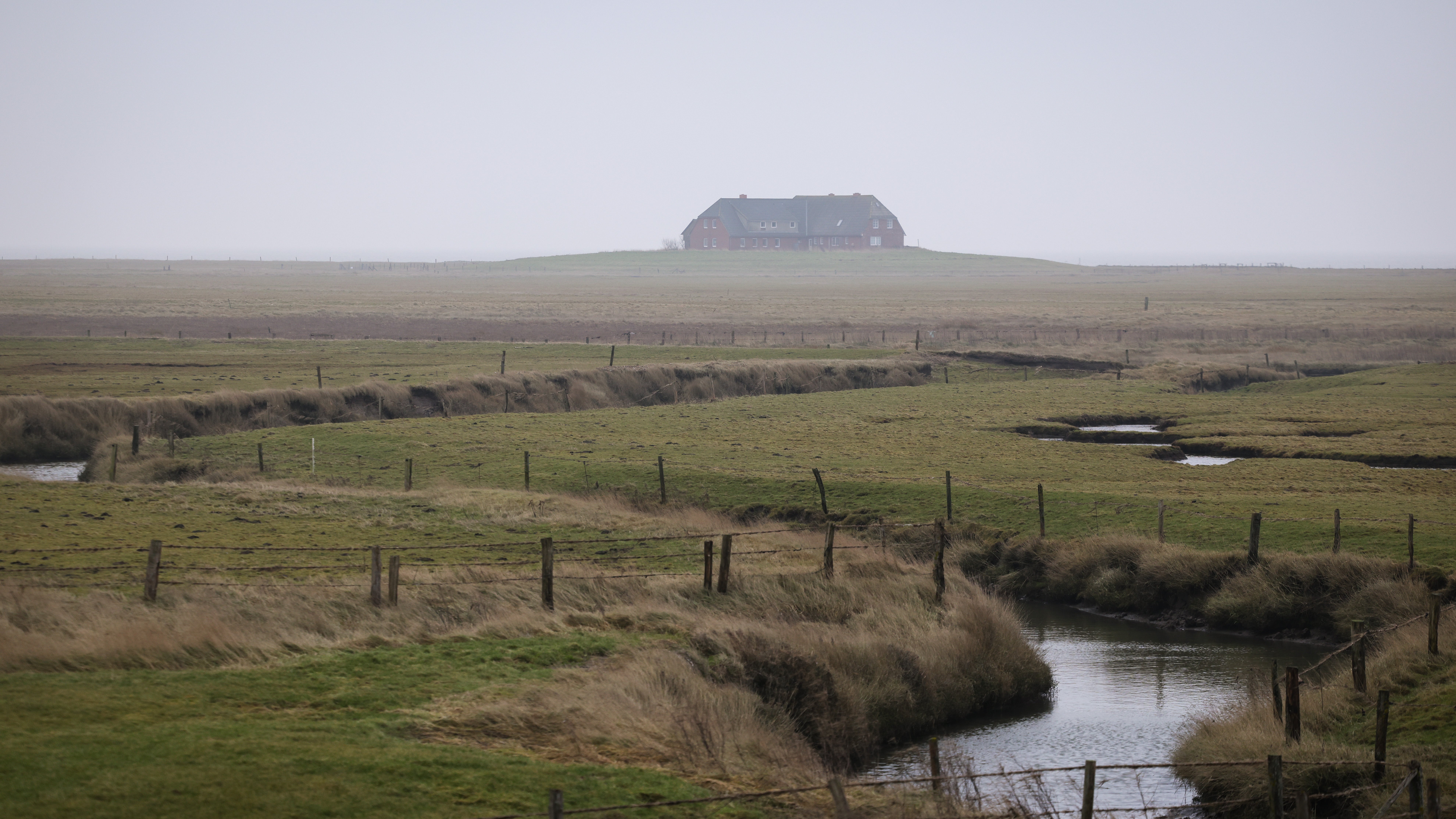 21.01.2025, Schleswig-Holstein, Langene&szlig;: H&auml;user stehen auf einer Warft auf der Hallig Langene&szlig;. Die gro&szlig;e Sturmflut vor 200 Jahren, vom 3. auf den 4. Februar 1825, gilt als eine der vermutlich schwersten Sturmfluten der letzten Jahrhunderte. (Christian Charisius/dpa)

