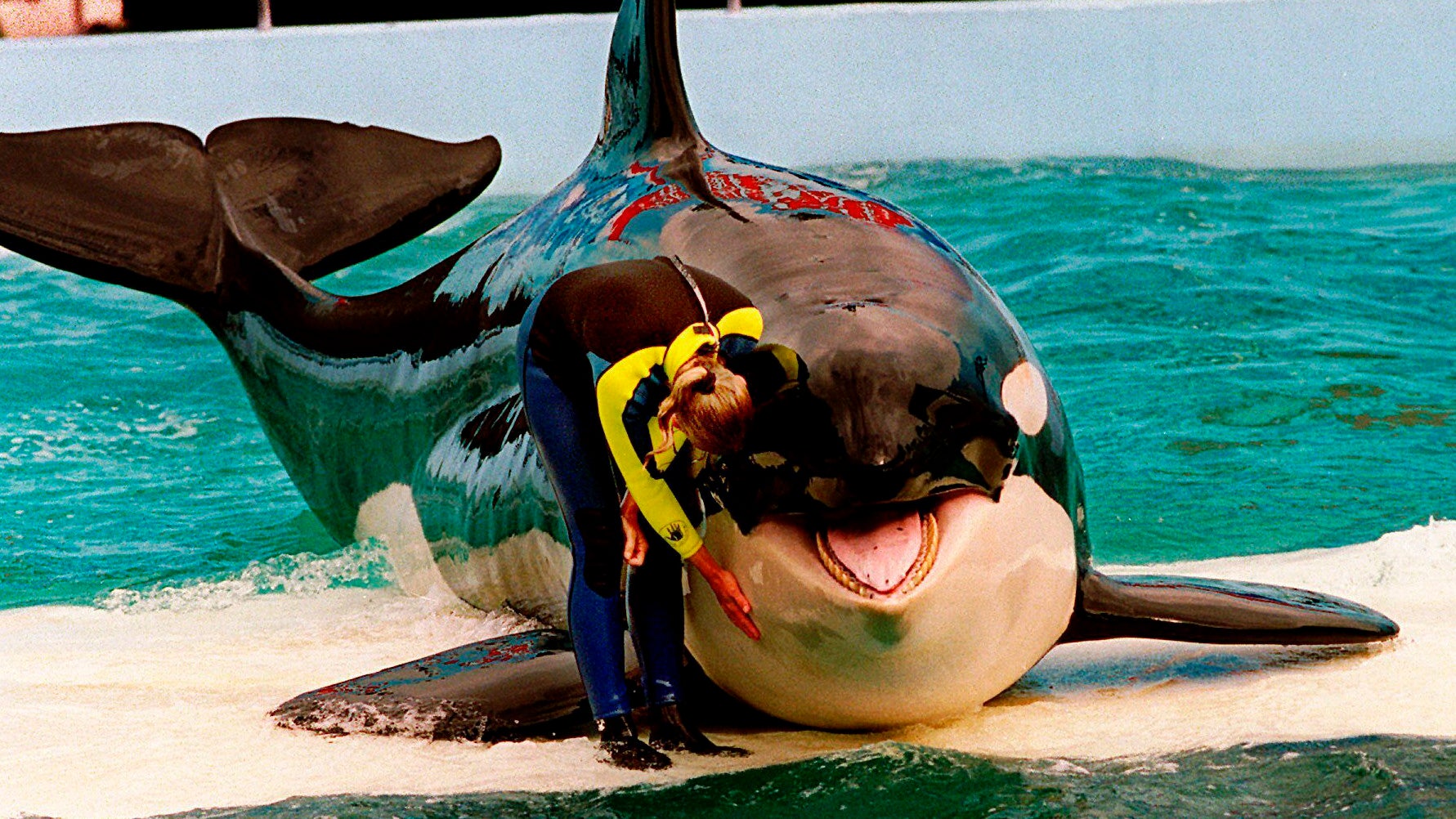 Wie alt ist Orca Lolita?