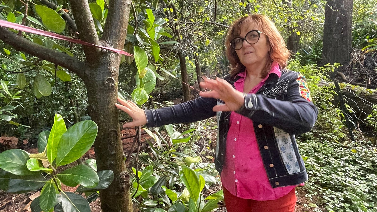 30.03.2022, Australien, Mount Kembla: April Sampson-Kelly steht inmitten ihrer &laquo;Silk Farm&raquo;, einem sogenannten &laquo;Food Forest&raquo; oder Ern&auml;hrungs-Garten, der nach den Prinzipien der Permakultur-Lehre nach David Holmgren angelegt wurde. Foto: Michelle Ostwald/dpa +++ dpa-Bildfunk +++