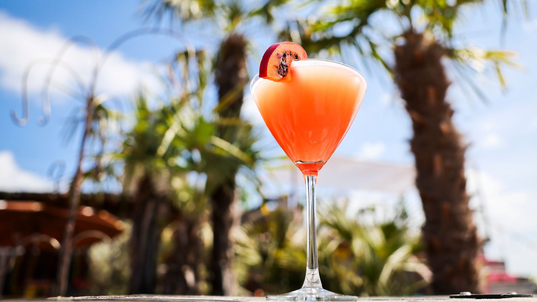 Sommer Cocktail "Pornstar Martini" (Christian Charisius/dpa)