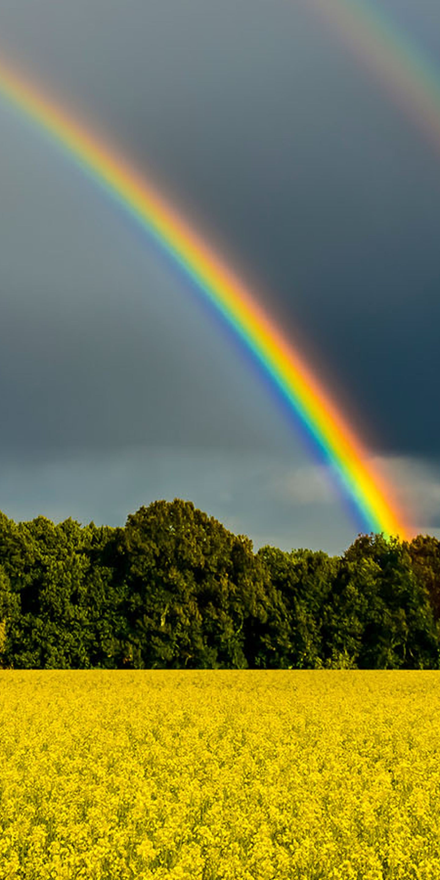 Warum Menschen Nie Denselben Regenbogen Sehen The Weather Channel Artikel Von The Weather Channel Weather Com