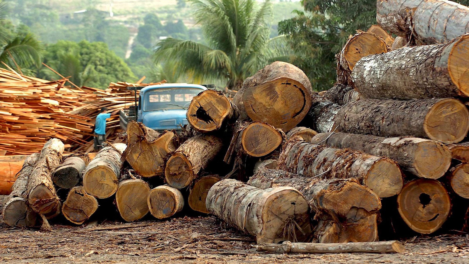 ARCHIV - 12.03.2013, Brasilien, Altamira: Eine Holzfabrik in Brasilien (undatiertes Foto). Bundesumweltministerin Schulze hat sich f&uuml;r ein Lieferkettengesetz ausgesprochen, das deutsche Unternehmen zur Einhaltung von Menschenrechts- und Umweltstandards auch bei Zulieferfirmen im Ausland verpflichtet. Foto: epa efe Marcelo Sayao/EFE/dpa +++ dpa-Bildfunk +++