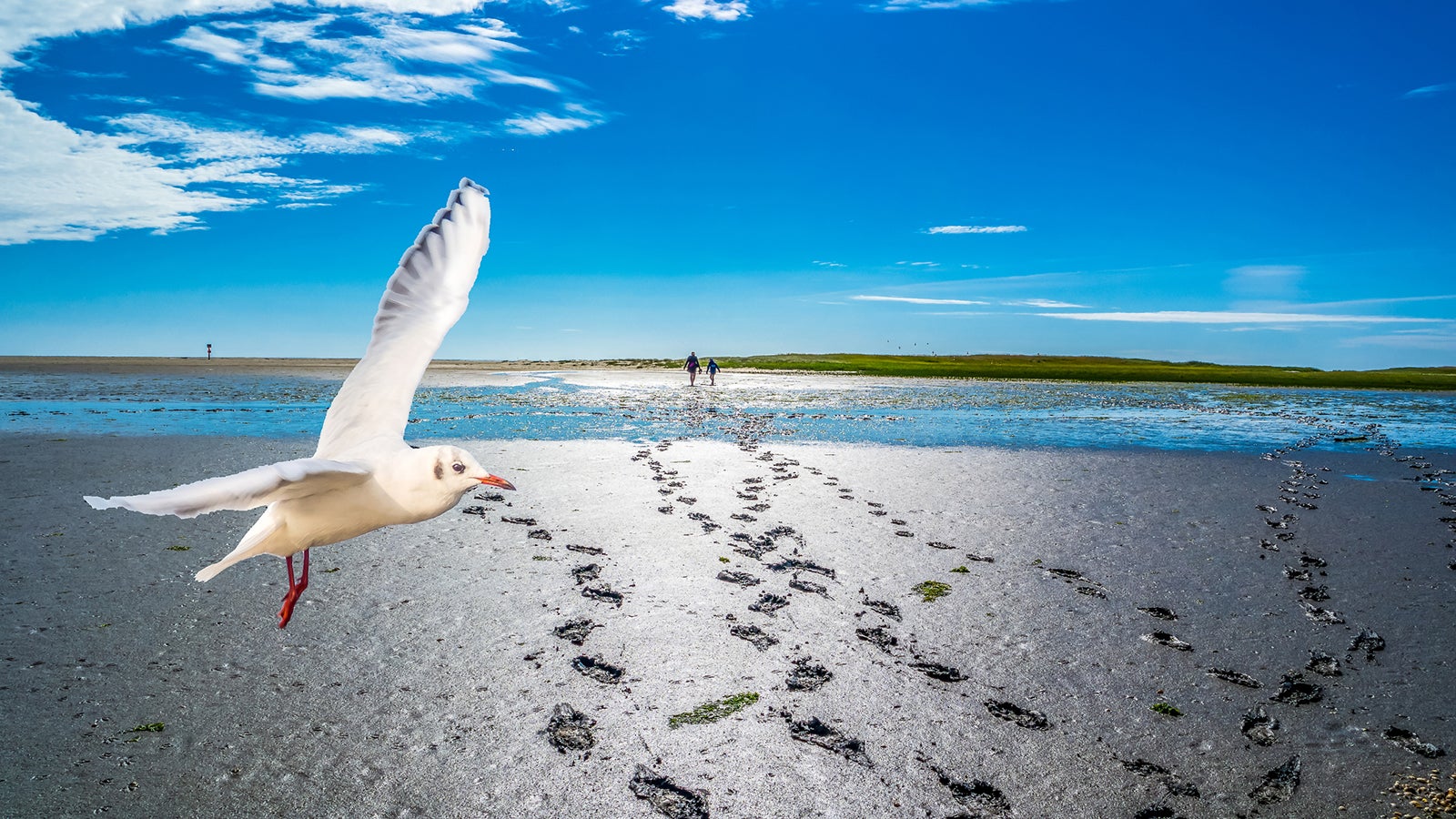 Nicht nur im Sommer ein Highlight - auch im Winter l&auml;sst eine Wattwanderung Tiefenentspannung aufkommen. Foto: GettyImages