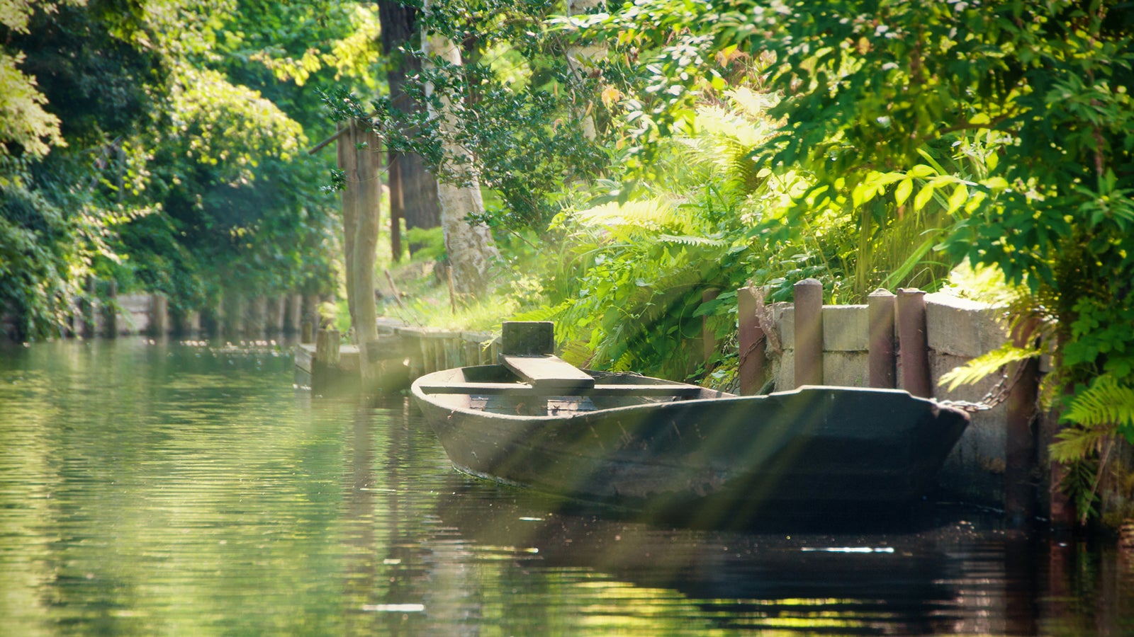 Unz&auml;hlige Flussarme der Spree bilden ein &uuml;ber 1000 Kilometer langes Wasser- und Waldlabyrinth. Foto: GettyImages