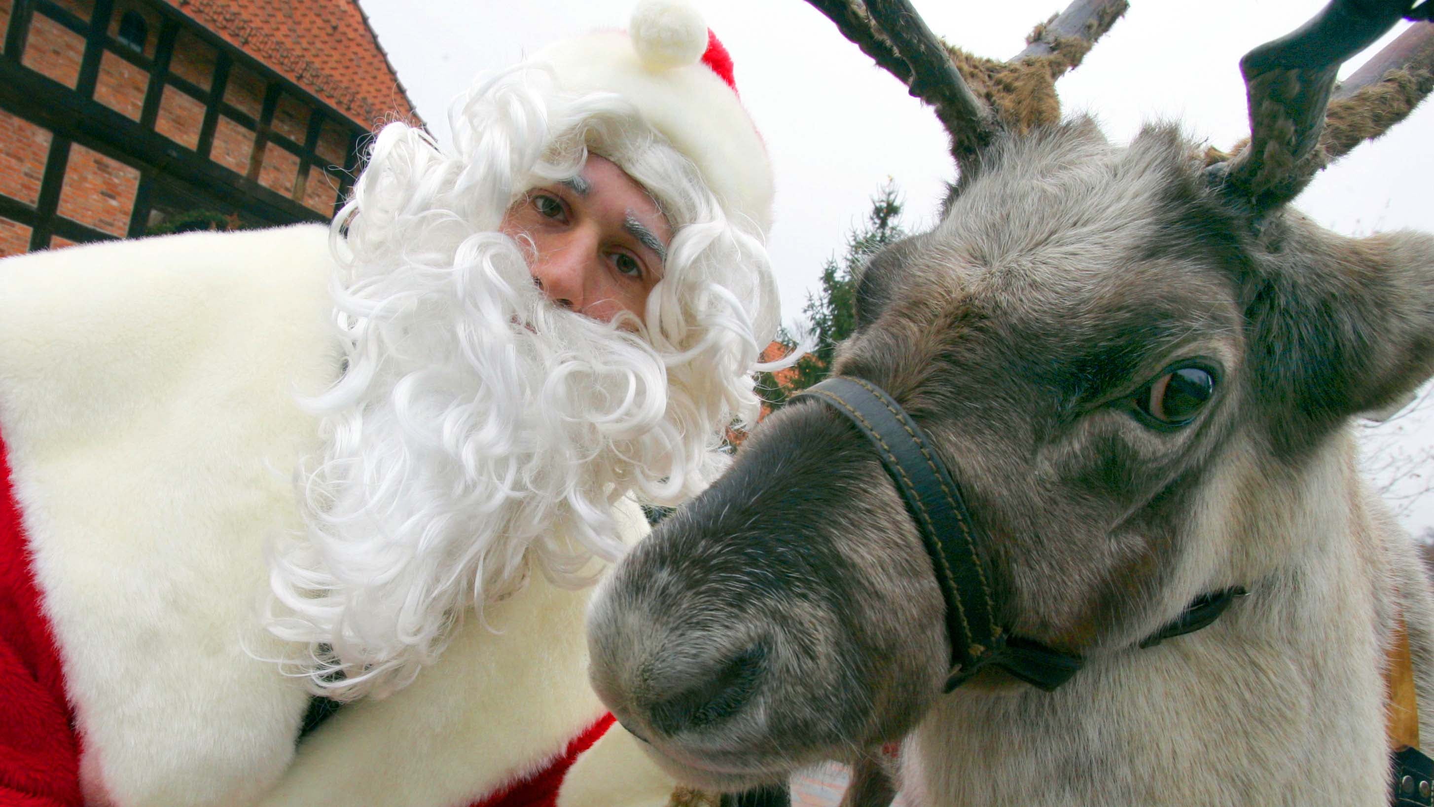 Der Weihnachtsmann und sein&nbsp;Rentier