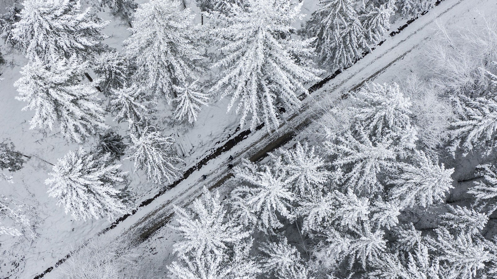 dpatopbilder - 02.01.2021, Hessen, Kiedrich: Mit Schnee bedeckt ist der Nadelwald bei Kiedrich nach den anhaltenden Niederschl&auml;gen der vergangenen Tage (Luftaufnahme mit einer Drohne). In den kommenden Tagen sinken die Temperaturen vor allem nachts teils deutlich unter den Gefrierpunkt. Foto: Boris Roessler/dpa +++ dpa-Bildfunk +++