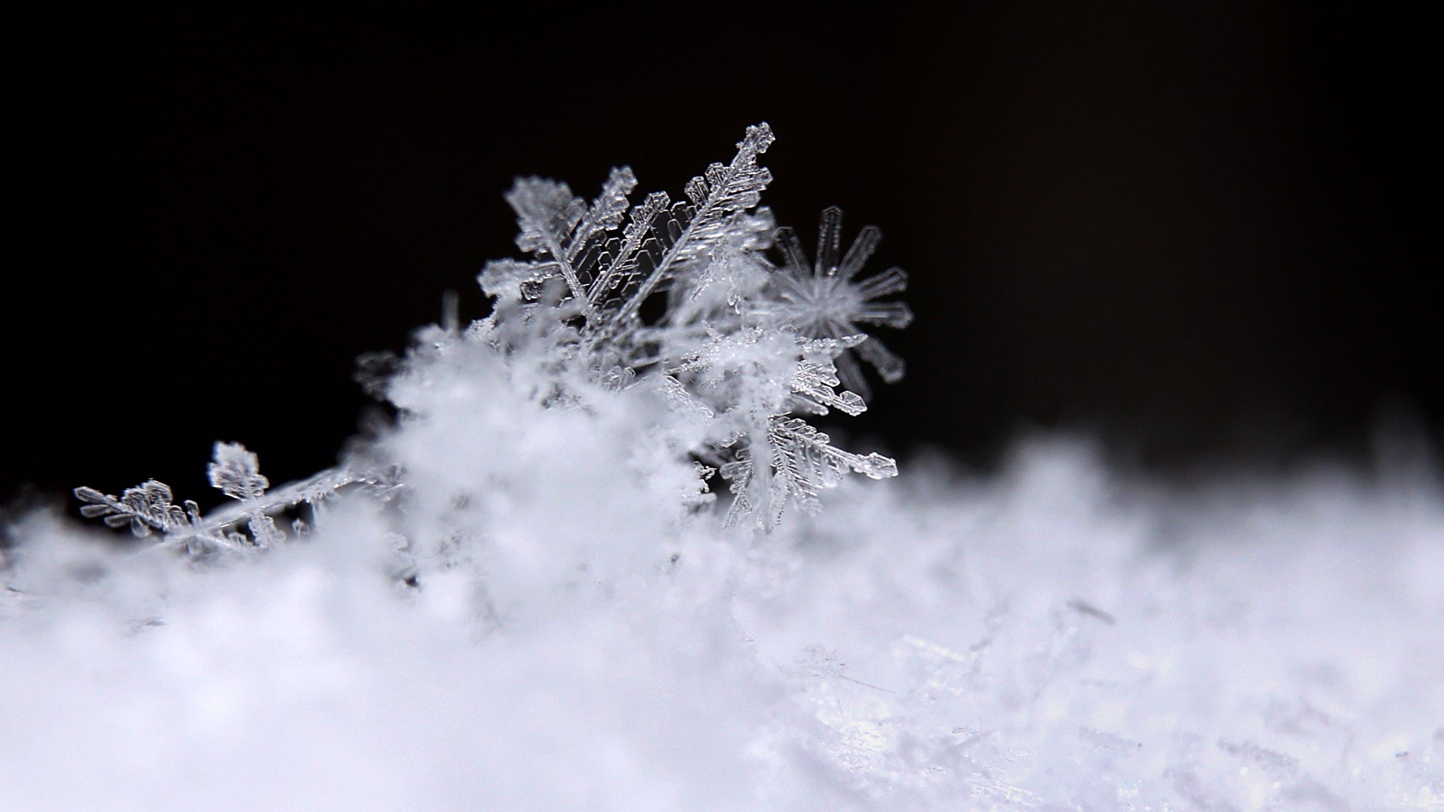 Bayern, Marktoberdorf: Ein Eiskristall, teil von frisch gefallenen Schneeflocken, liegt auf einem Schneehaufen. (Karl-Josef Hildenbrand/dpa)

