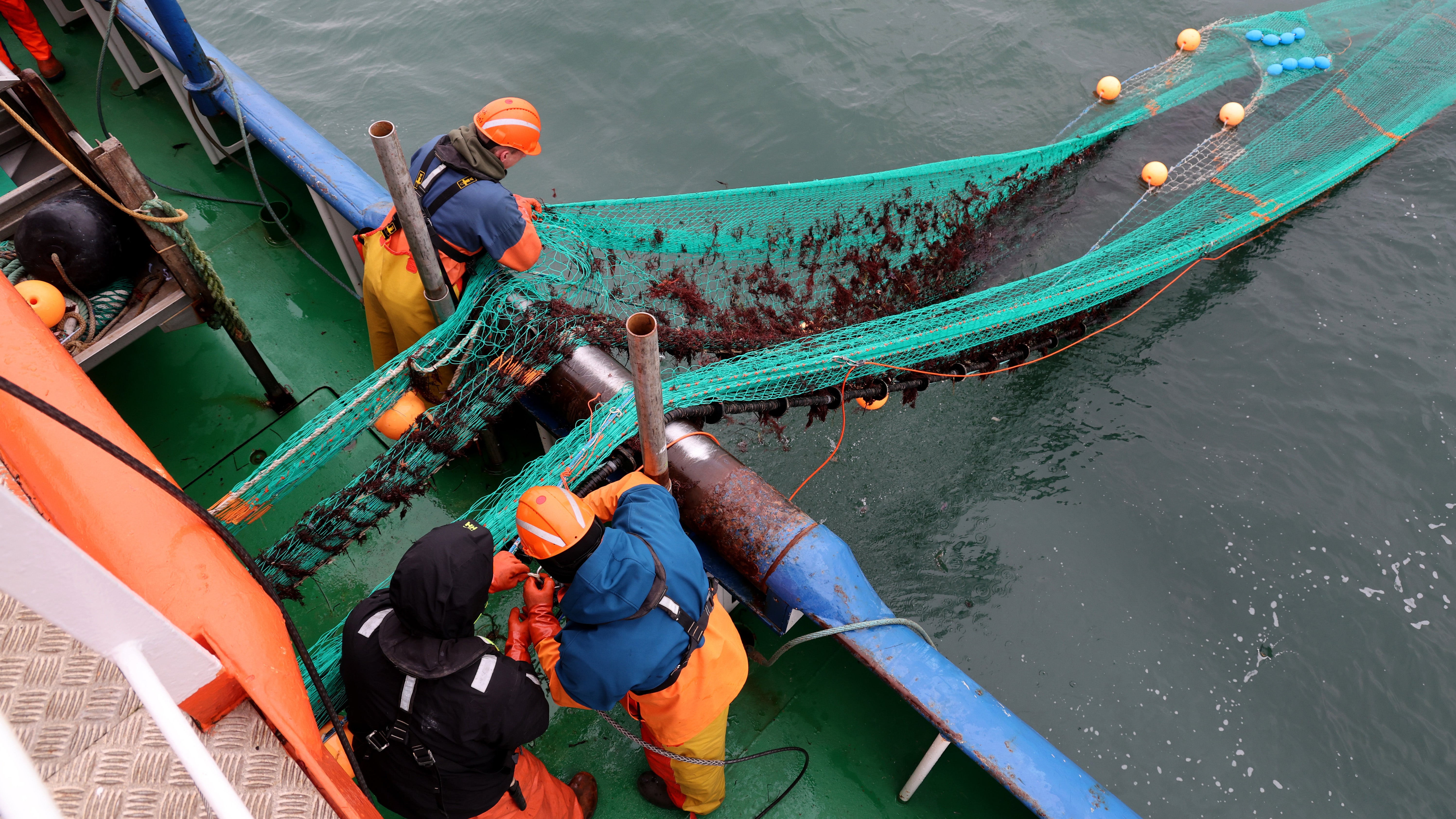 14.02.2024, Mecklenburg-Vorpommern, K&uuml;hlungsborn: An Bord des Fischereiforschungsschiffes Solea auf der Ostsee wird von Besatzungsmitgliedern und Fischern ein Schleppnetz eingeholt, das zuvor mit Videokameras ausgestattet wurde. (Bernd W&uuml;stneck/dpa)

