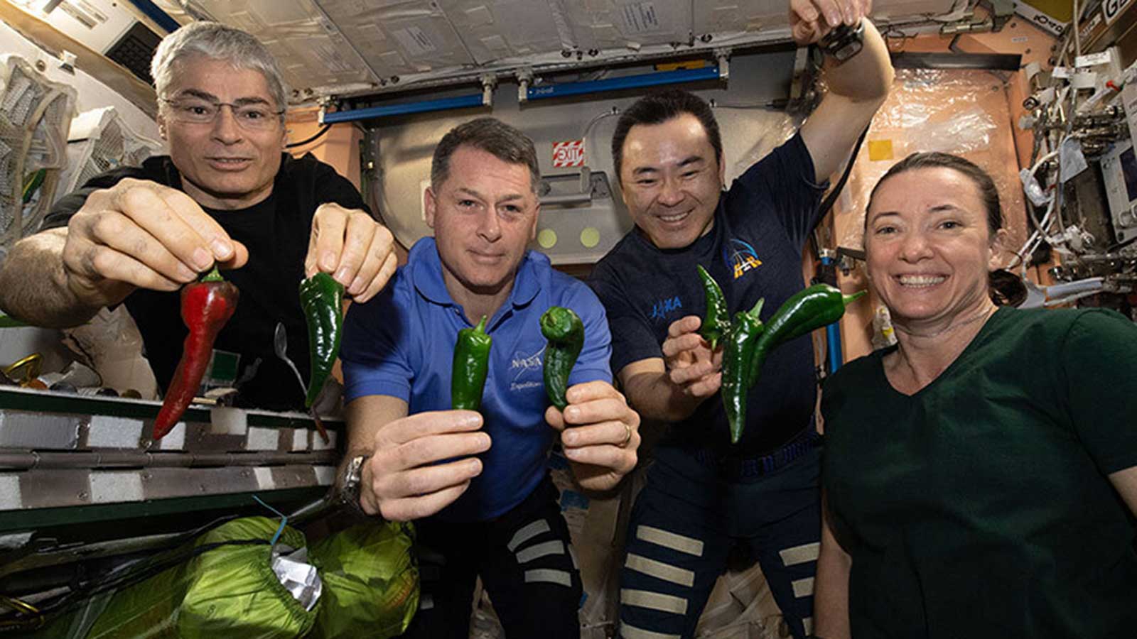 This photo provided by NASA, Astronauts, from left, Mark Vande Hei, Shane Kimbrough, Akihiko Hoshide and Megan McArthur, pose with chile peppers grown aboard the International Space Station on Friday, Nov. 5, 2021. (NASA via AP)
