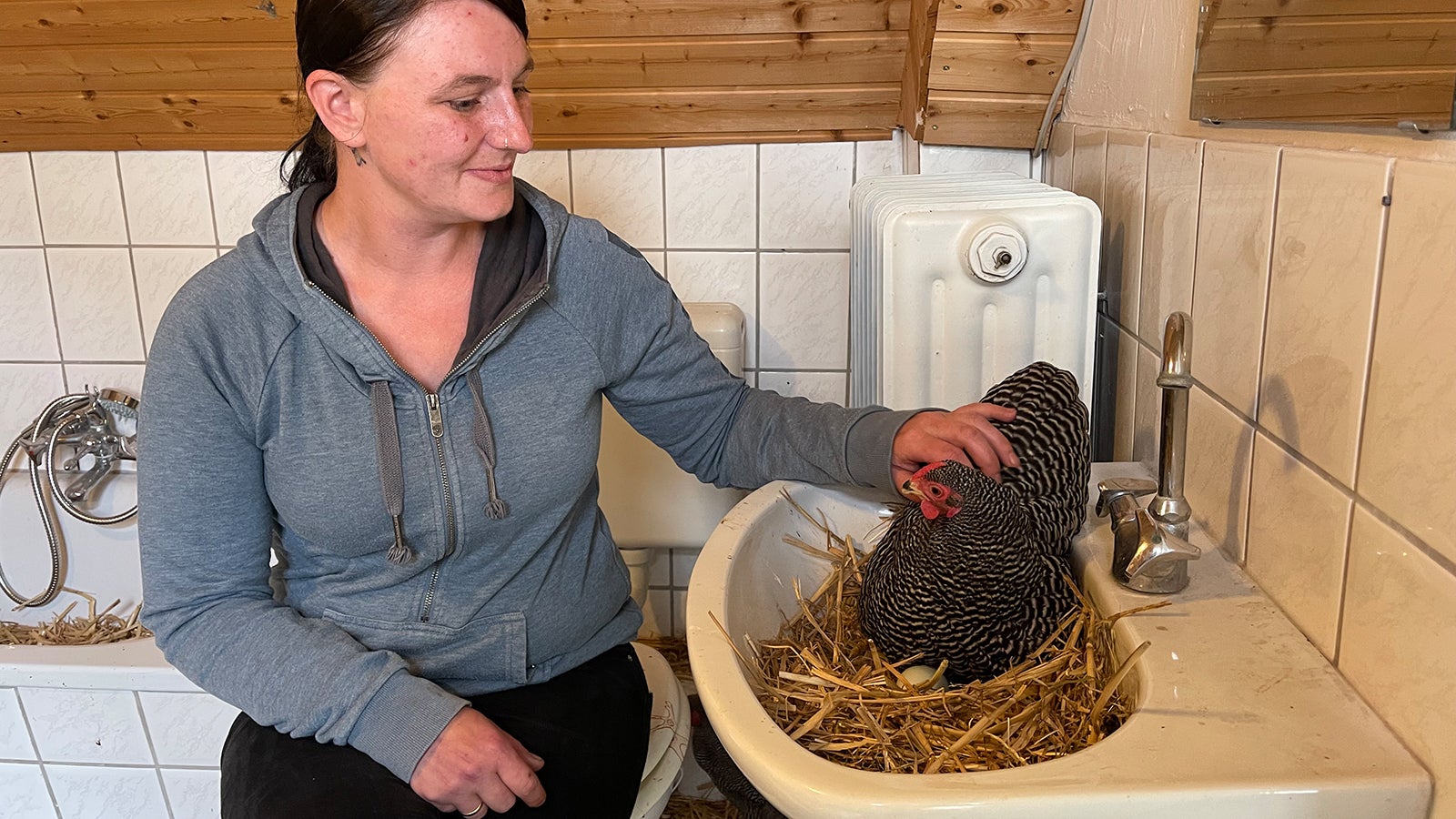 08.06.2021, Nordrhein-Westfalen, B&uuml;nde: Jessica Lemke sitzt in ihrem Badezimmer, das wegen eines bei Starkregen &uuml;berschwemmten Gartens als H&uuml;hnerstall herhalten muss. Am Wochende war ein Unwetter mit Starkregen &uuml;ber B&uuml;nde hinweggezogen. Als der H&uuml;hnerstall &uuml;berschwemmt wurde, trugen die Besitzer zehn Hennen und einen Hahn in das nicht t&auml;glich genutzte Badezimmer. (Zu dpa "Badezimmer als Stall:&nbsp;H&uuml;hner vor &Uuml;berschwemmung ins Haus gerettet") Foto: Christian M&uuml;ller/Westfalennews/dpa +++ dpa-Bildfunk +++