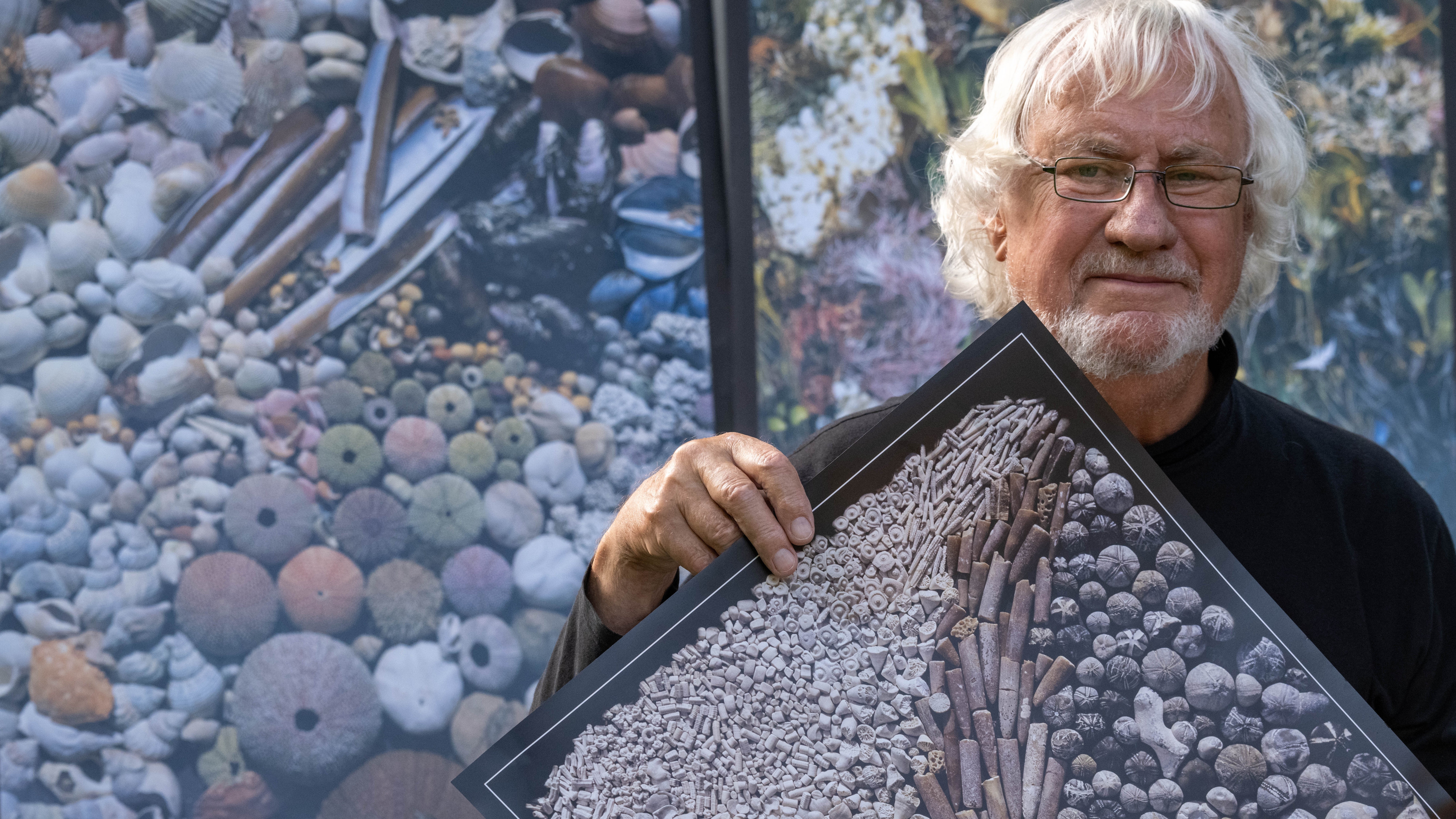Mecklenburg-Vorpommern, Stralsund: Geologe Rolf Reinicke, zeigt ein Plakat mit Funden der Kreidek&uuml;ste. Die Ostseek&uuml;ste ist nicht nur f&uuml;r ihre malerischen Landschaften bekannt, sondern auch f&uuml;r die vielf&auml;ltigen Sch&auml;tze, die ihre Str&auml;nde und Kliffs beherbergen. (Stefan Sauer/dpa)