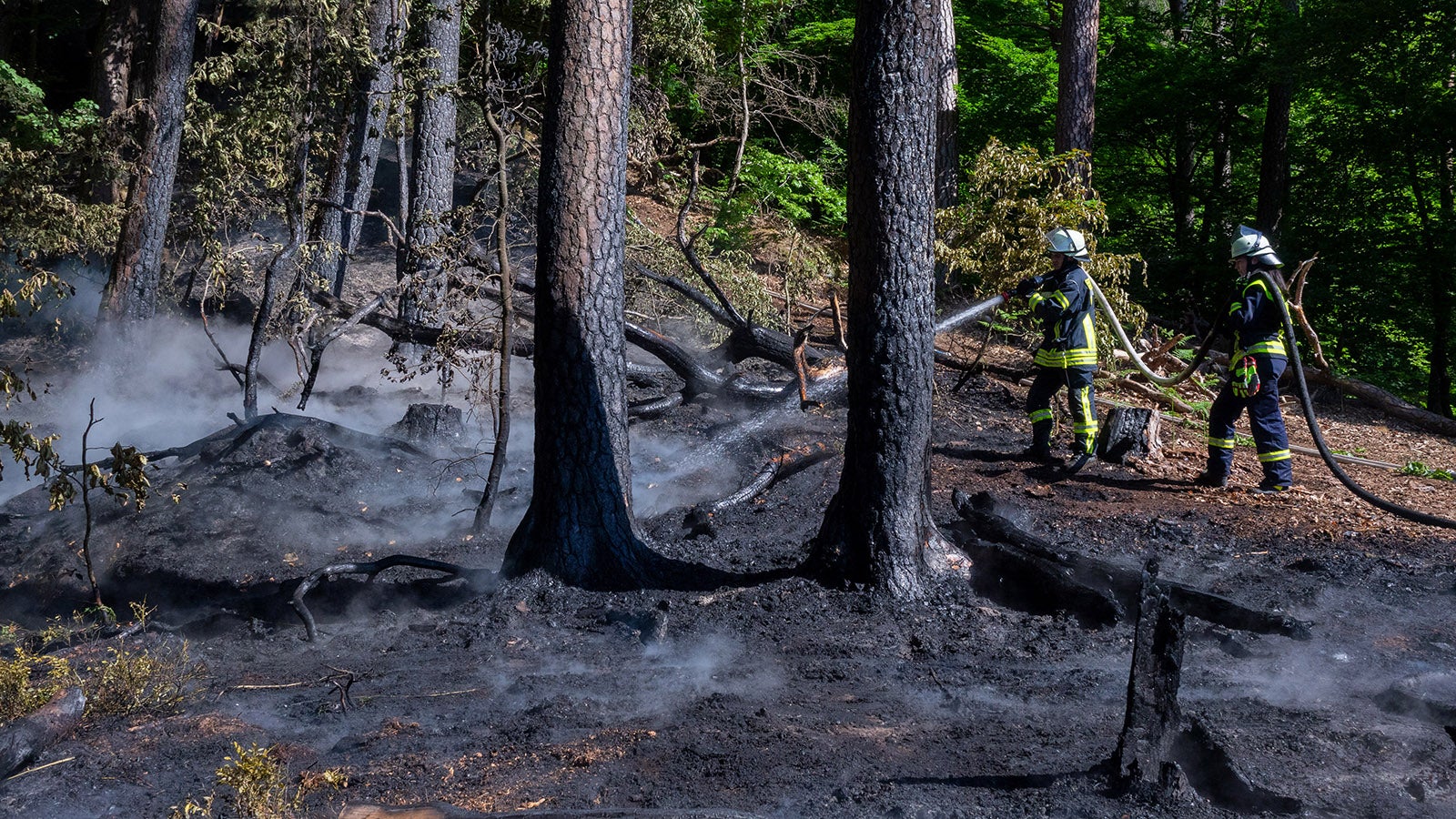 14.05.2022, Rheinland-Pfalz, Kordel: Feuerwehrleute sind mit L&ouml;scharbeiten in einem Wald bei Kordel besch&auml;ftigt. Auf einem Aussichtspunkt oberhalb der Genovevah&ouml;hle waren etwa 60 Einsatzkr&auml;fte der Freiwilligen Feuerwehren der umliegenden Gemeinde im Einsatz, um das Feuer zu l&ouml;schen und ein Ausbreiten der Flammen zu verhindern. Foto: Harald Tittel/dpa +++ dpa-Bildfunk +++