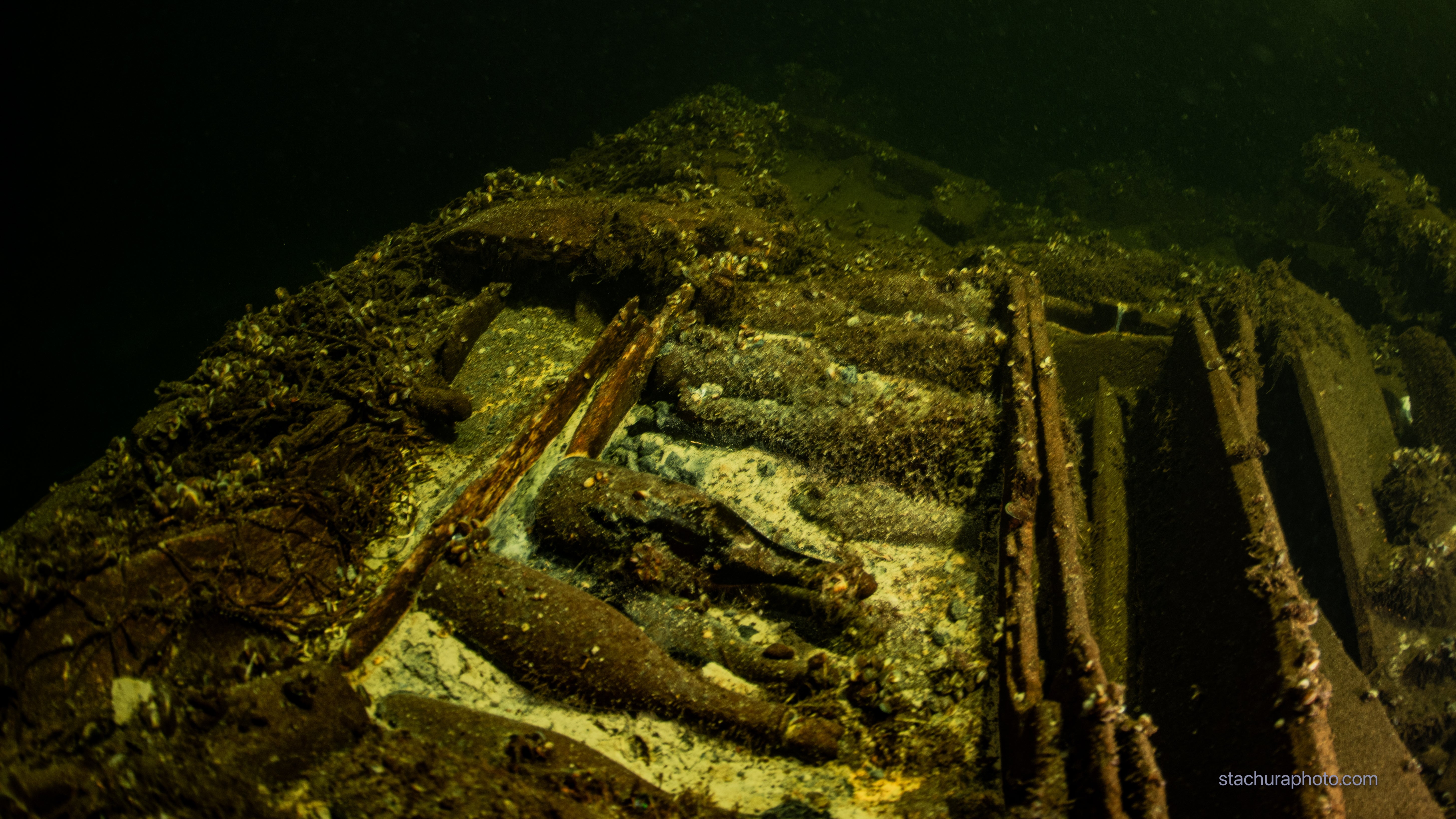 11.07.2024, Polen: Auf diesem vom Fotografen zur Verf&uuml;gung gestellten Bild sind an einem entdeckten Wrack in der Ostsee Flaschen zu sehen. Polnische Taucher haben nach eigenen Angaben das Wrack eines gesunkenen Segelschiffs mit einer Ladung von Champagner und Mineralwasser entdeckt. (Tmoasz Stachura/Baltictech/dpa)

