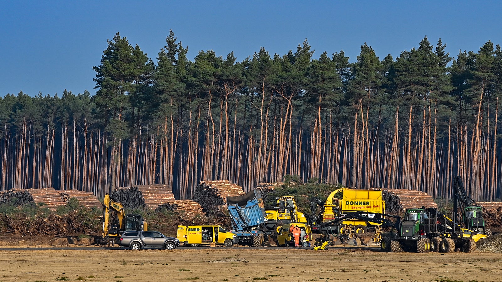 08.12.2020, Brandenburg, Gr&uuml;nheide: Gef&auml;llte B&auml;ume liegen auf der Baustelle der Tesla Gigafactory. Umweltsch&uuml;tzer haben vor Gericht einen Stopp des vorzeitigen Beginns einer weiteren Rodung von Waldfl&auml;che auf dem Gel&auml;nde des US-Elektroautobauers Tesla erwirkt. In der Fabrik sollen ab Juli 2021 maximal 500 000 Fahrzeuge pro Jahr vom Band rollen. Foto:Patrick Pleul/dpa via AP, File
