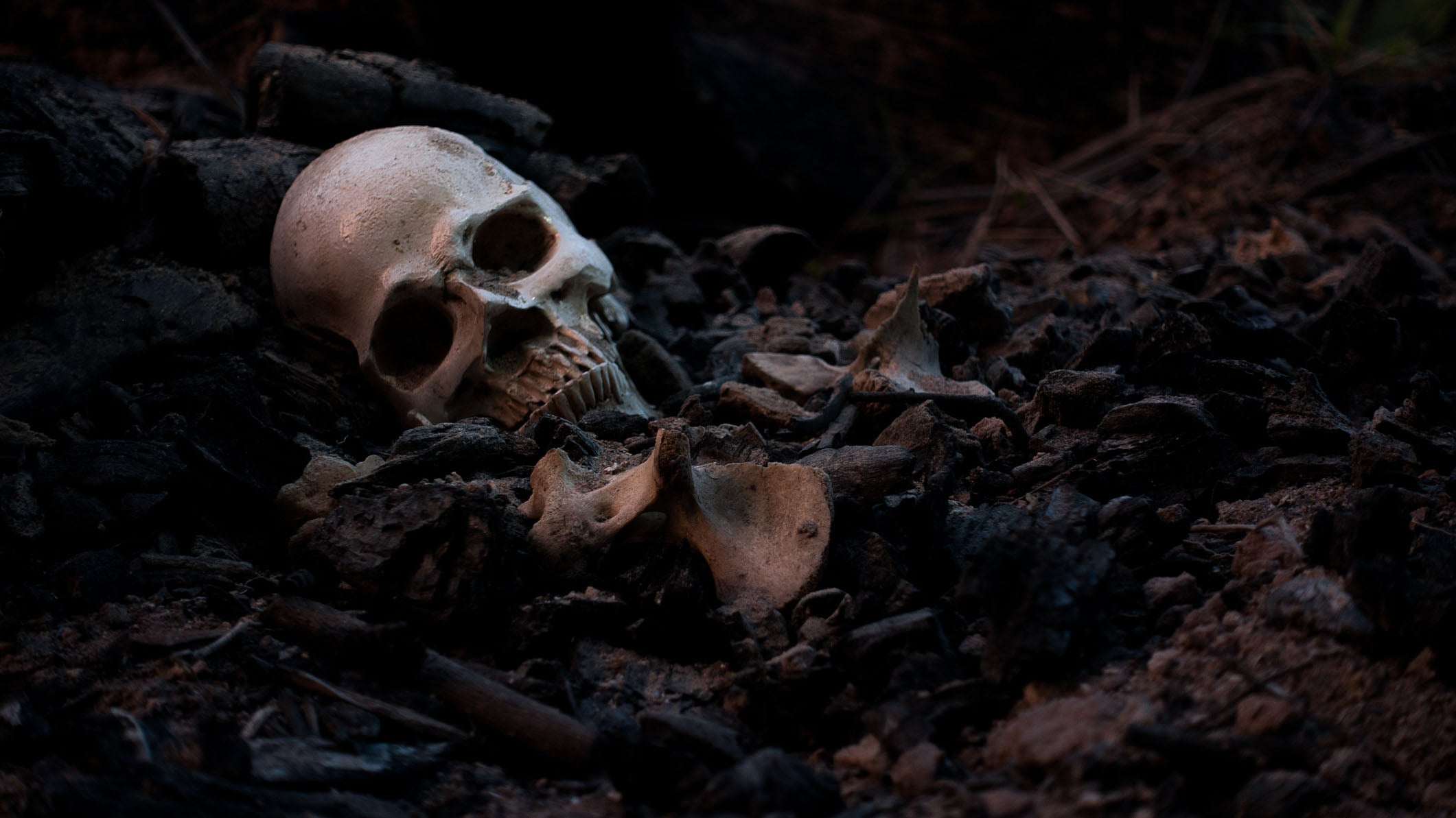 Skull and bones digged from pit in the scary graveyard which has dim light