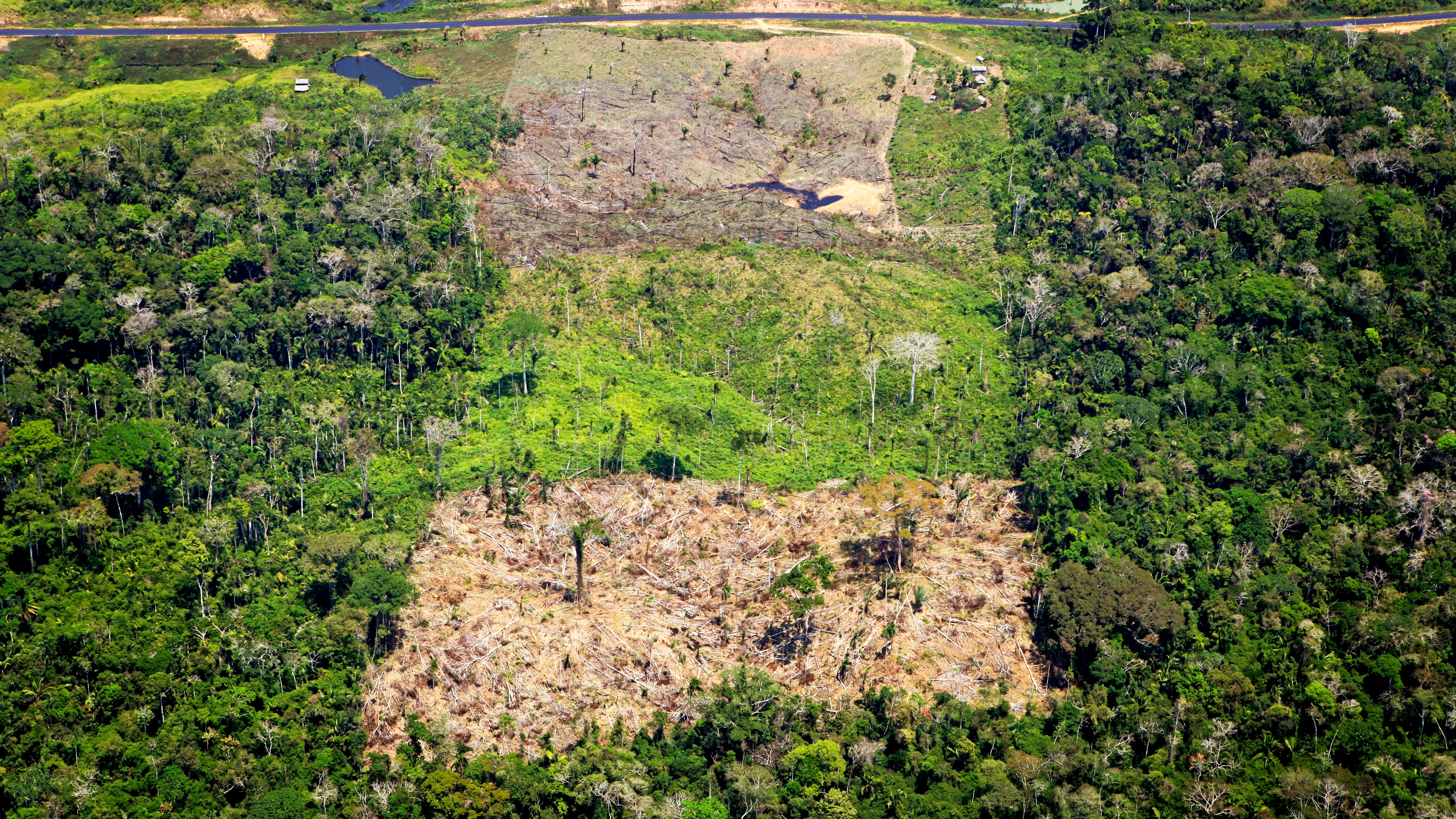 ACHTUNG: SPERRFRIST 14. APRIL 00:01 UHR. ACHTUNG: DIESER BEITRAG DARF NICHT VOR DER SPERRFRIST, 14. APRIL 00.01 UHR, VER&Ouml;FFENTLICHT WERDEN! EIN BRUCH DES EMBARGOS K&Ouml;NNTE DIE BERICHTERSTATTUNG &Uuml;BER STUDIEN EMPFINDLICH EINSCHR&Auml;NKEN. - HANDOUT - 27.08.2012, Brasilien, Acre: Luftaufnahme eines abgeholzten Gebiets im Amazonas-Regenwald in Acre, Brasilien. F&uuml;r den Anbau von Soja, Kaffee und anderen Produkten f&uuml;r den Import in die EU ist zuletzt im Mittel j&auml;hrlich Tropenwald auf einer Gesamtfl&auml;che von etwa der vierfachen Gr&ouml;&szlig;e des Bodensees abgeholzt worden. (zu dpa &laquo;Tropenwald-Abholzung wegen Importen: EU weltweit auf Platz zwei&raquo;) Foto: Greg Armfield/WWF-UK/dpa - ACHTUNG: Nur zur redaktionellen Verwendung im Zusammenhang mit der aktuellen Berichterstattung und nur mit vollst&auml;ndiger Nennung des vorstehenden Credits +++ dpa-Bildfunk +++