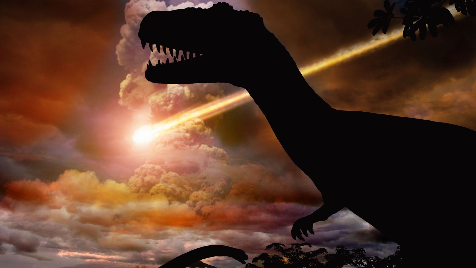 Wo Ist Der Komet Eingeschlagen Der Die Dinosaurier Ausgelöscht Hat weather.com