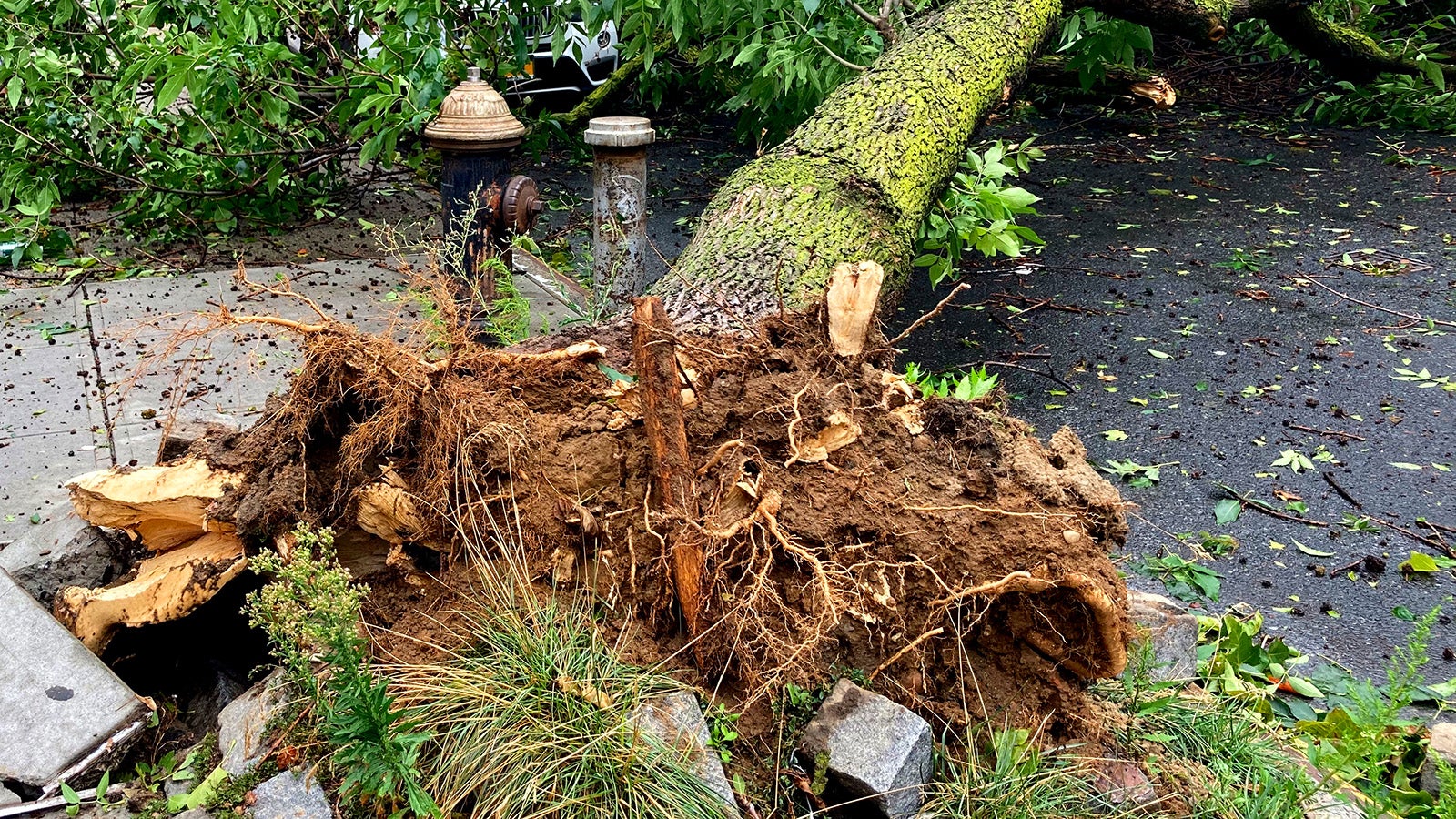 Seit dem Nachmittag toben in NRW heftige Unwetter. Foto: GettyImages