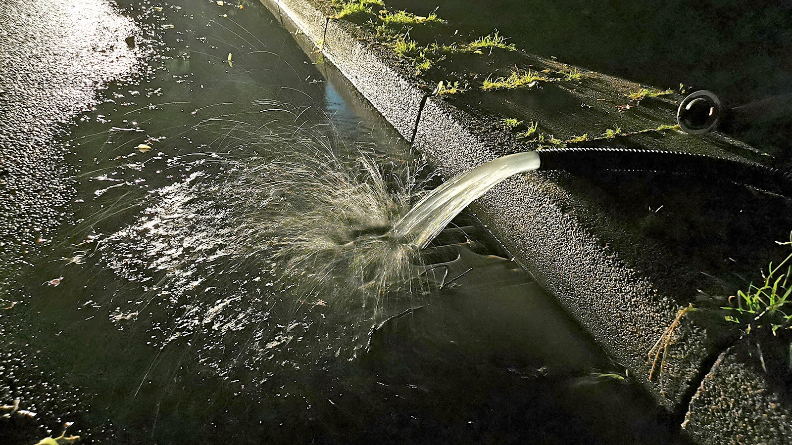 Symbolbild. Foto: Christoph Ri&szlig;e