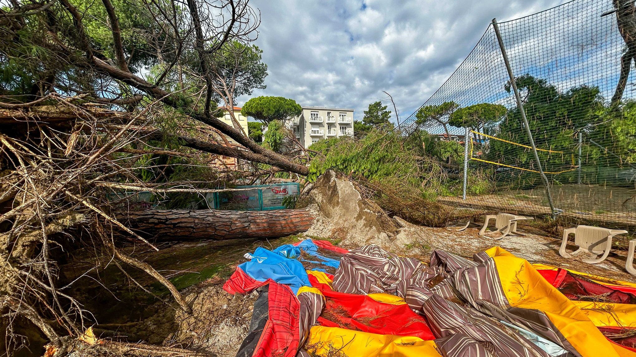 24.08.2025, Italien, Milano Marittima: Planen und umgest&uuml;rzte B&auml;ume liegen nach einem Unwetter auf einem Platz des Badeortes. (Alessio Marini/LPS via ZUMA Press Wire/dpa)