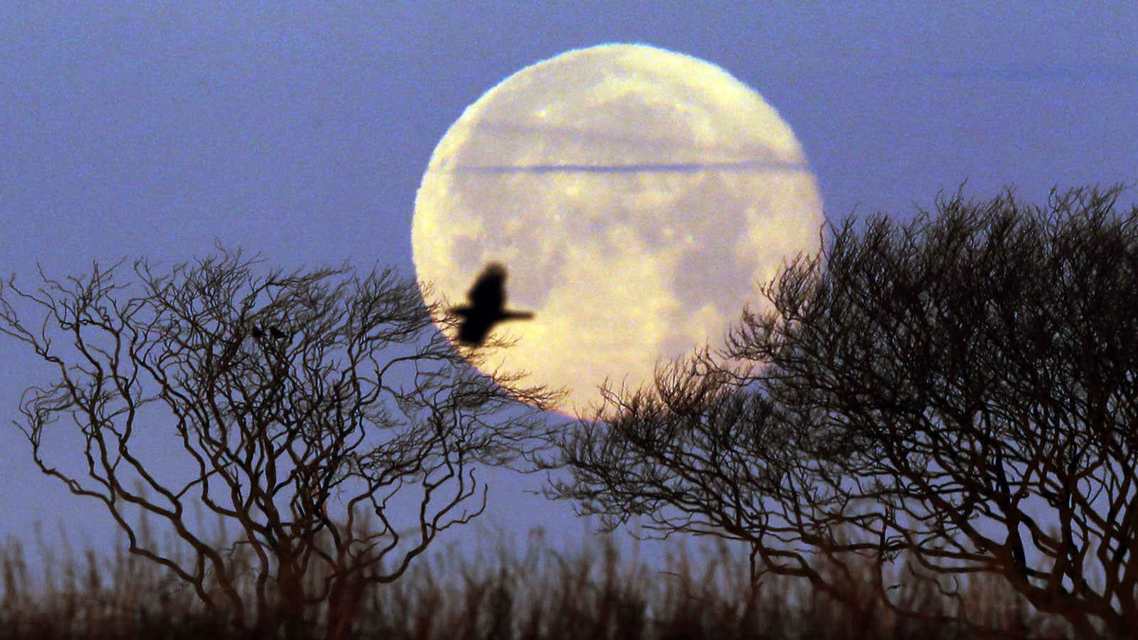 Der letzte sogenannte Supermond des Jahres 2017, ein ungew&ouml;hnlich gro&szlig; erscheinender Vollmond, geht am 04.12.2017 &uuml;ber Whitley Bay (Gro&szlig;britannien) unter. Foto: Owen Humphreys/PA Wire/dpa 