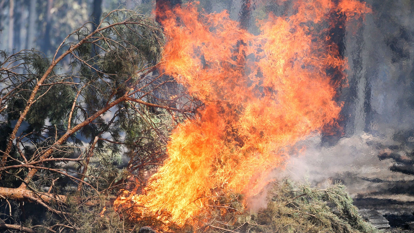 ARCHIV - 04.07.2018, Sachsen-Anhalt, Serno: Letzte Feuer lodern nach einem Waldbrand im Landkreis Wittenberg. (zu dpa ?Waldbrandatlas?: Neue Onlinedatensammlung soll Feuerwehren helfen) Foto: Jan Woitas/zb/dpa +++ dpa-Bildfunk +++