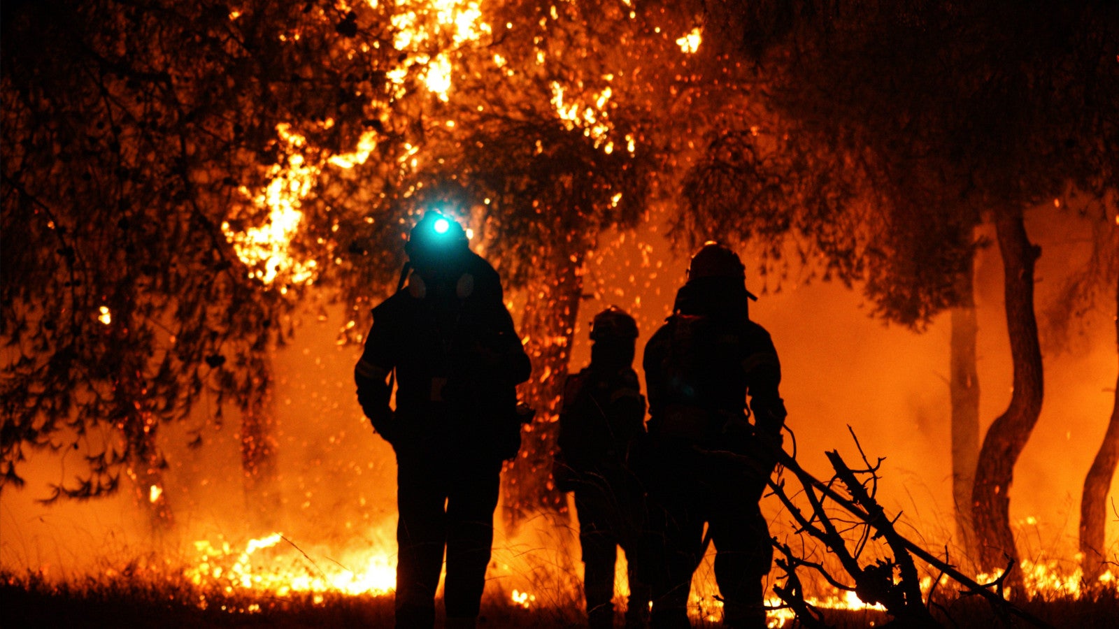 09.07.2025, Griechenland, Asprochori: Feuerwehrleute l&ouml;schen die Flammen w&auml;hrend eines Waldbrandes in Asprochori, Oropos, Attika. Foto: Giorgos Arapekos/ZUMA Press Wire/dpa 