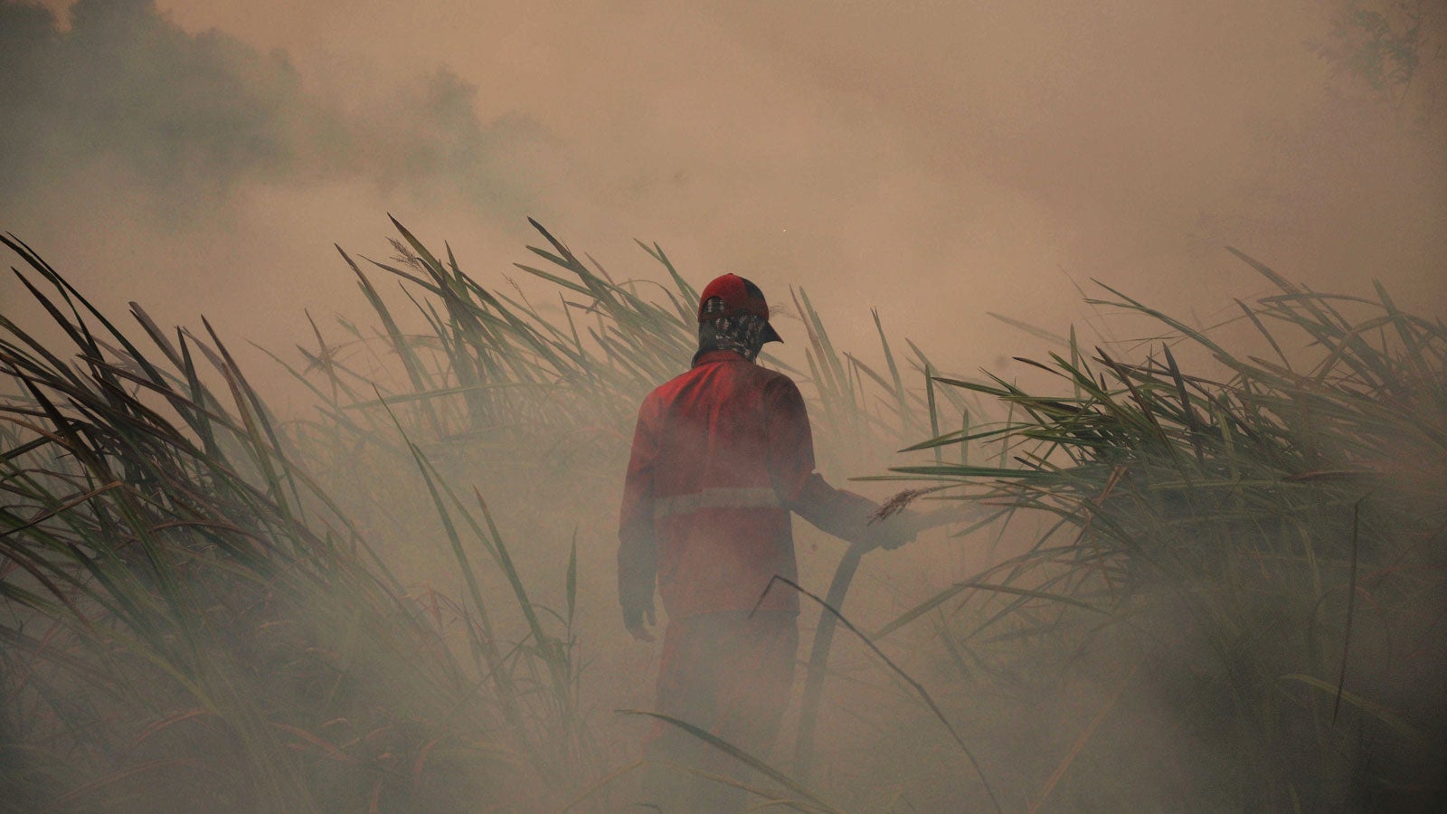  05.08.2019, Indonesien, S&uuml;dsumatra: Ein Feuerwehrmann k&auml;mpft gegen den Wildbrand in Ogan Ilir an. Indonesien hat 6000 Helfer in den Einsatz gegen schwere Waldbr&auml;nde geschickt, die auf den Inseln Sumatra und Borneo w&uuml;ten. Foto: Muhammad Fajri/XinHua/dpa 