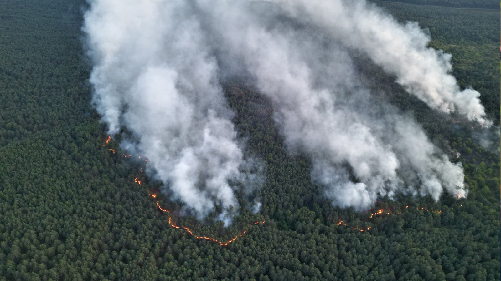 15.07.2026, Mecklenburg-Vorpommern, Kratzeburg: Rauchs&auml;ulen stehen &uuml;ber einer brennenden Waldfl&auml;che. Der Gro&szlig;brand im M&uuml;ritz-Nationalpark breitet sich weiter aus. Foto: Marcus Mohnfeld/Landkreis Mecklenburgische Seenplatte/dpa