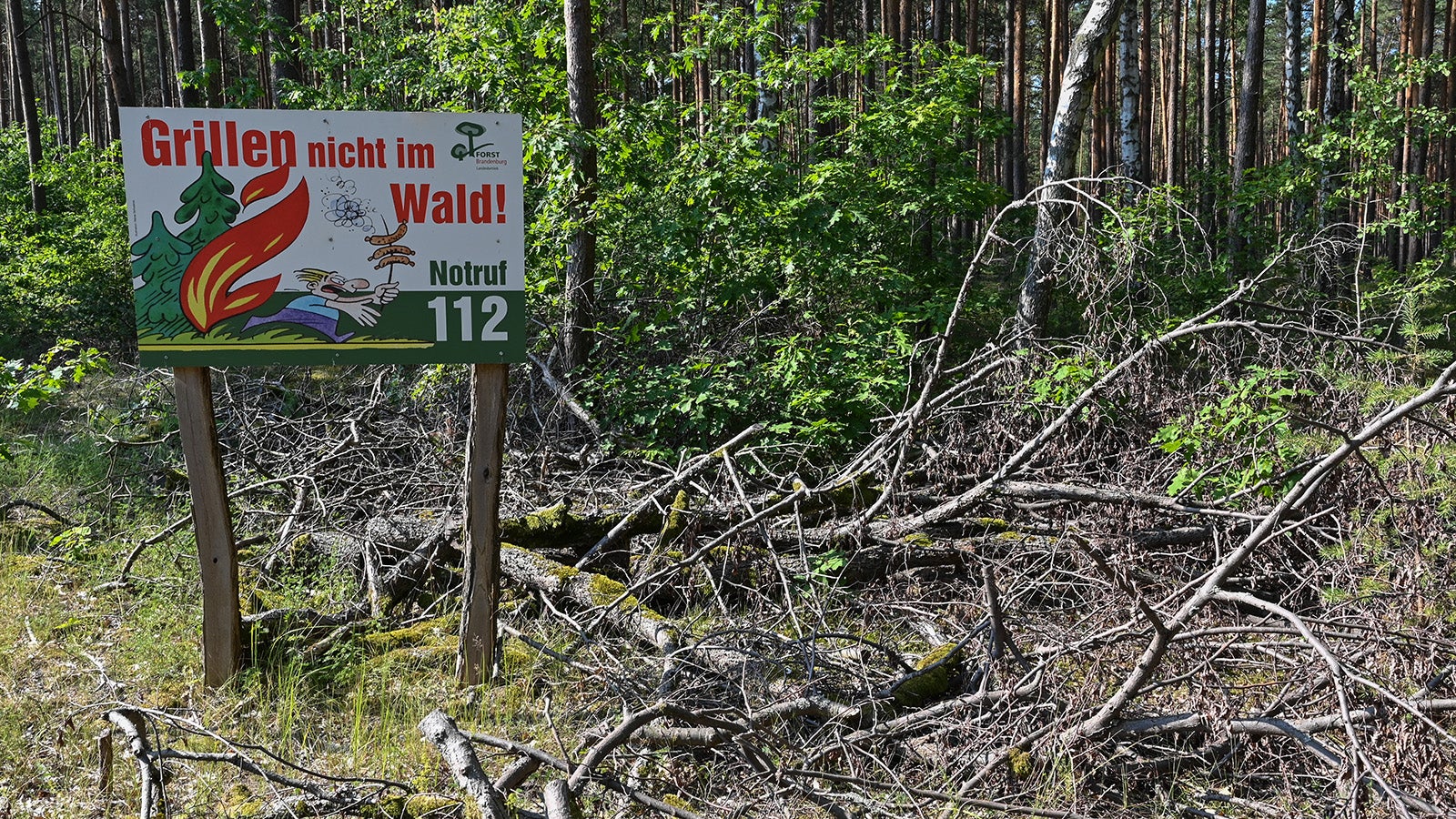 ARCHIV - 07.08.2020, Brandenburg, Briesen: Ein Schild vom Landesbetrieb Forst Brandenburg mit der Aufschrift &laquo;Grillen nicht im Wald! Notruf 112&raquo; steht in einem Wald. Das trockene und sehr warme Wetter sorgt f&uuml;r Waldbrandgefahr. (zu dpa: &laquo;Vorsicht beim Grillen: Hohe Waldbrandgefahr im S&uuml;dwesten&raquo;) Foto: Patrick Pleul/dpa-Zentralbild/dpa +++ dpa-Bildfunk +++
