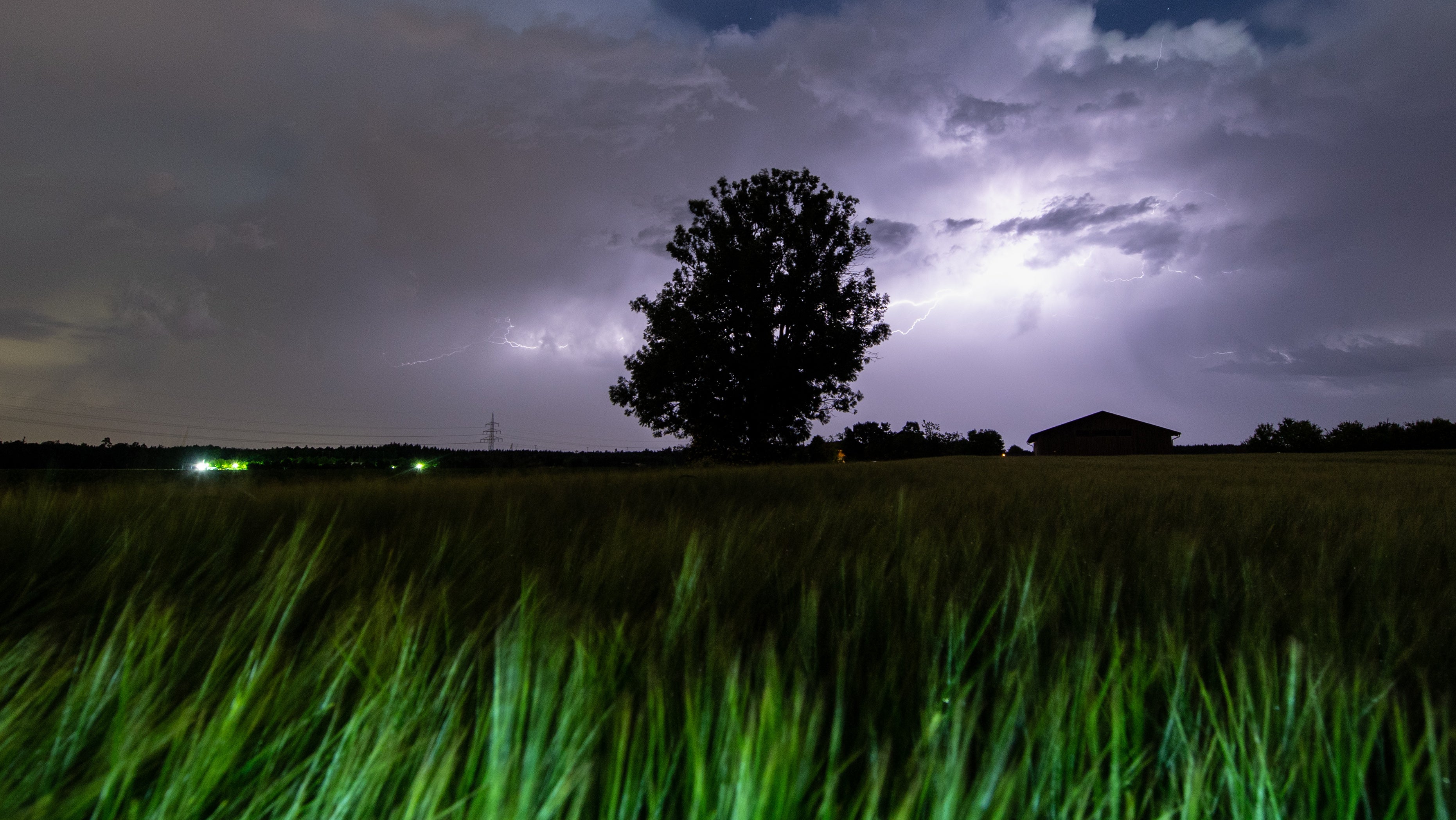 Bayern, Grasbrunn: Blitze entladen sich &uuml;ber einem Baum bei Grasbrunn.