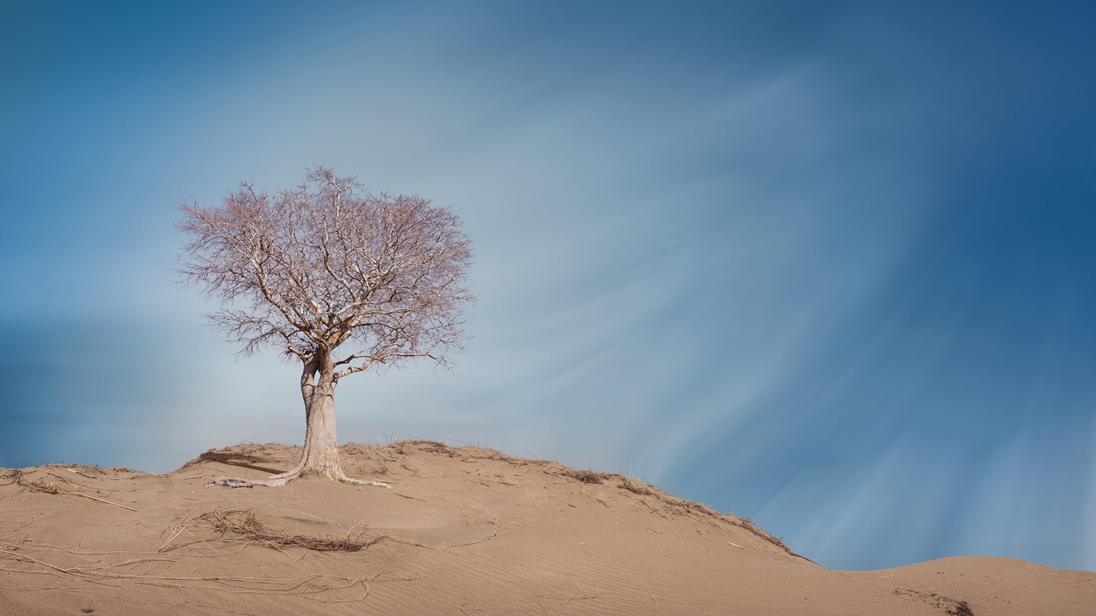  In Westafrika etwa herrscht von August bis April Trockenzeit (Nordostpassat).