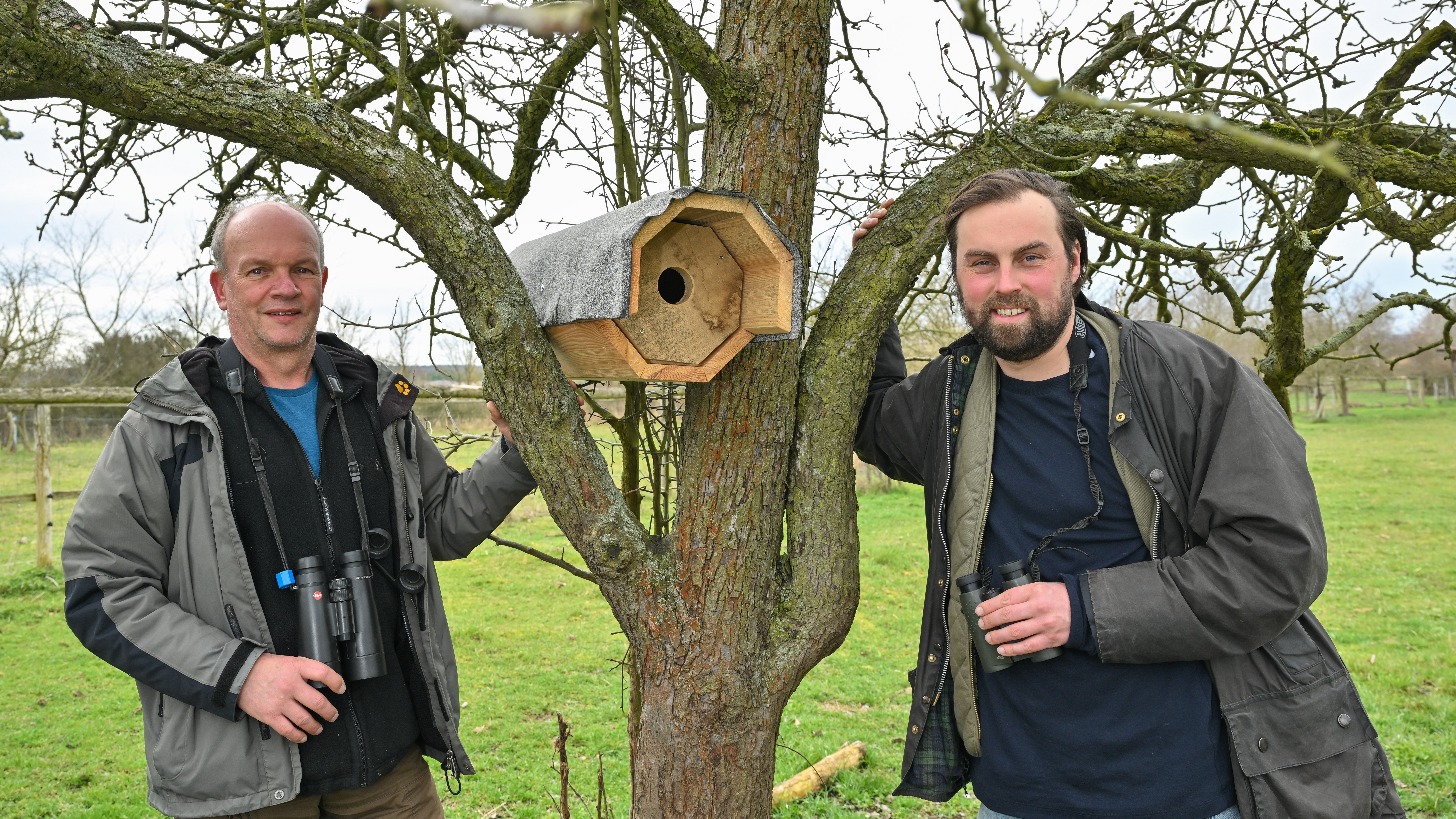 23.03.2023, Brandenburg, Luckau: Ralf Donat (l), Leiter des Natur-Erlebniszentrums Wanninchen der Sielmann-Stiftung und Philipp Juranek, Hobby-Ornithologe und Natursch&uuml;tzer haben einen Wiedehopf-Brutkasten auf einer Wiese vom Natur-Erlebniszentrum Wanninchen an einem alten Obstbaum angebracht. Dass Bier die Wiederansiedlung des selten gewordenen Wiedehopfs bef&ouml;rdern kann, beweisen vier Hobby-Ornithologen in S&uuml;dbrandenburg: Mit dem Verkauf ihres &laquo;Wiedehopfen&raquo; finanzieren sie den Bau von witterungsbest&auml;ndigen Nisthilfen. Und den Vogel freut es offenbar. Foto: Patrick Pleul/dpa +++ dpa-Bildfunk +++