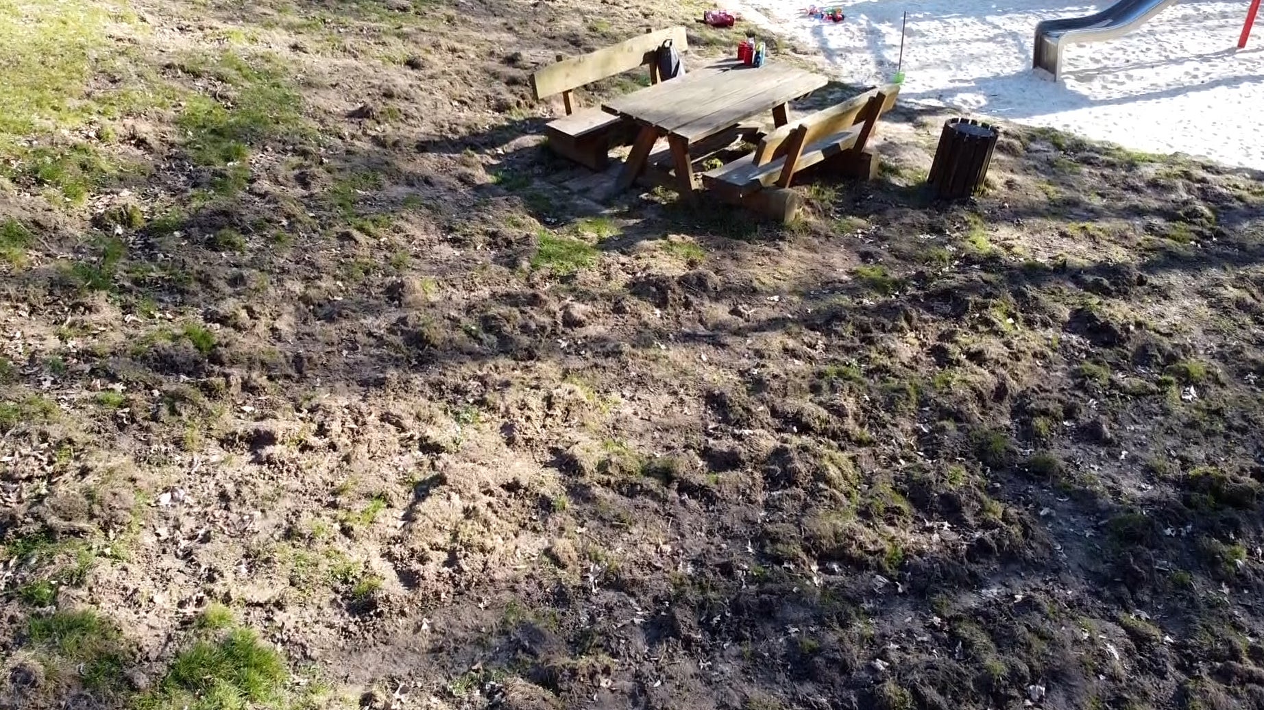 19.03.2025, Niedersachsen, Osterode: Ein von Wildschweinen verw&uuml;steter Spielplatz in Osterode am Harz. Auch in anderen Orten im Harz kommt es immer wieder zu Problemen mit Wildschweinen. (Fernando Martinez/dpa)


