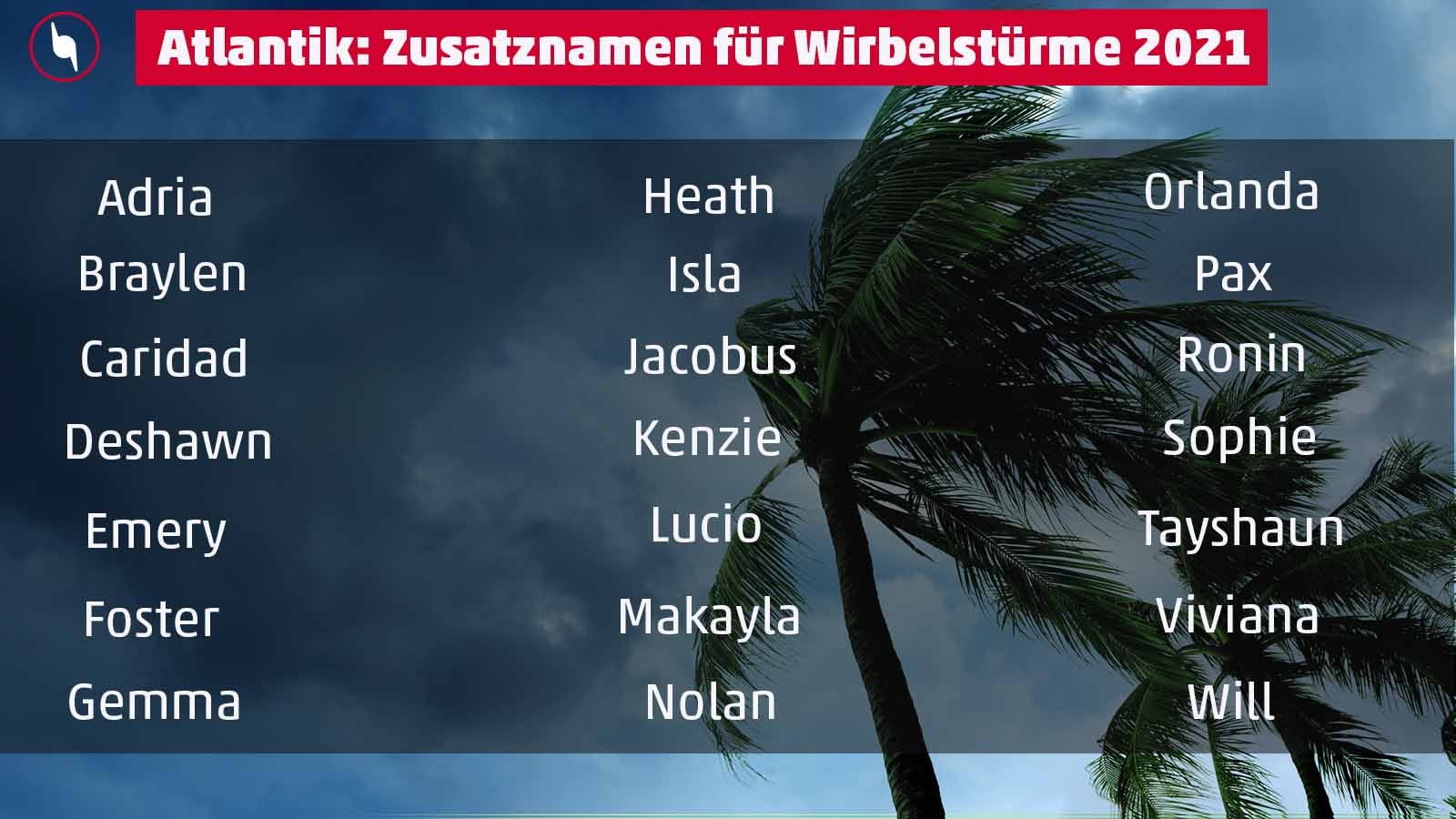 waving palm trees in windy tropical storm over cloudy dark sky