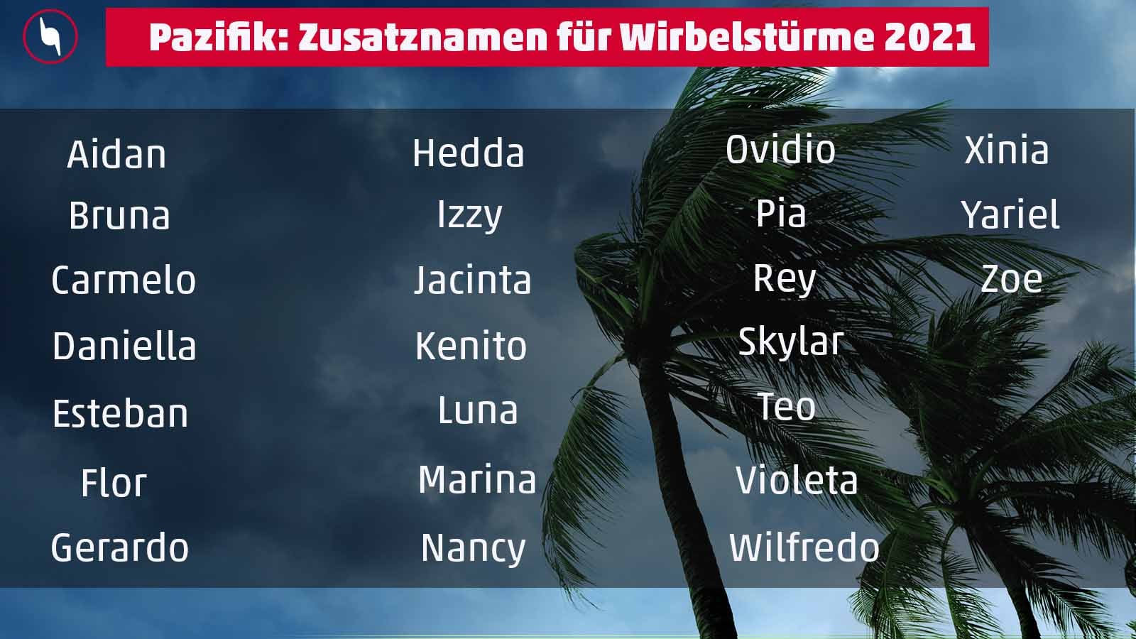 waving palm trees in windy tropical storm over cloudy dark sky