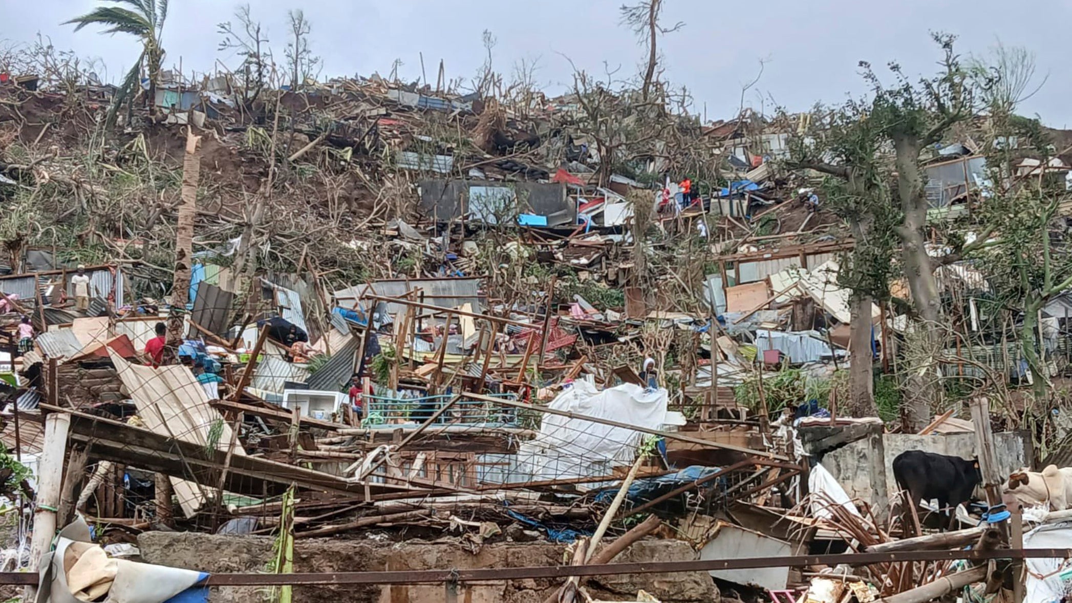 15.12.2024, Frankreich, Mayotte: Dieses undatierte Foto der Nichtregierungsorganisation Medecins du Monde vom 15.12.2024, zeigt einen verw&uuml;steten H&uuml;gel mit zerst&ouml;rten Behausungen auf dem franz&ouml;sischen Territorium Mayotte im Indischen Ozean, nachdem der Zyklon Chido gro&szlig;e Sch&auml;den angerichtet und mehrere Menschenleben gefordert hat. (Uncredited/Medecins du Monde via AP/dpa) 