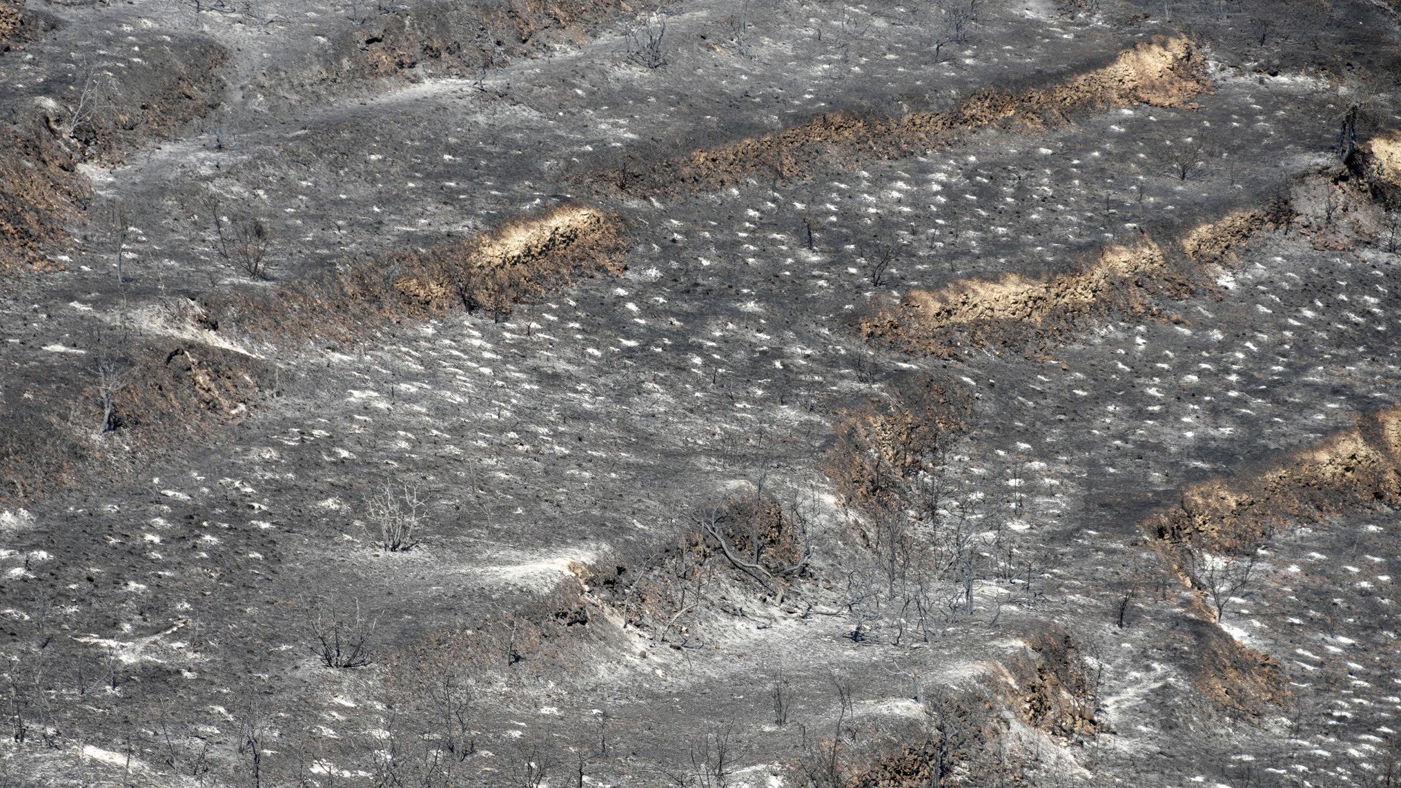 24.07.2025, Zypern, Omodos: Ein verbranntes Grundst&uuml;ck im Dorf Omodos ist von oben zu sehen, w&auml;hrend eines massiven Waldbrandes auf der S&uuml;dseite des Troodos-Gebirges im &ouml;stlichen Mittelmeer. (Petros Karadjias/AP/dpa)

