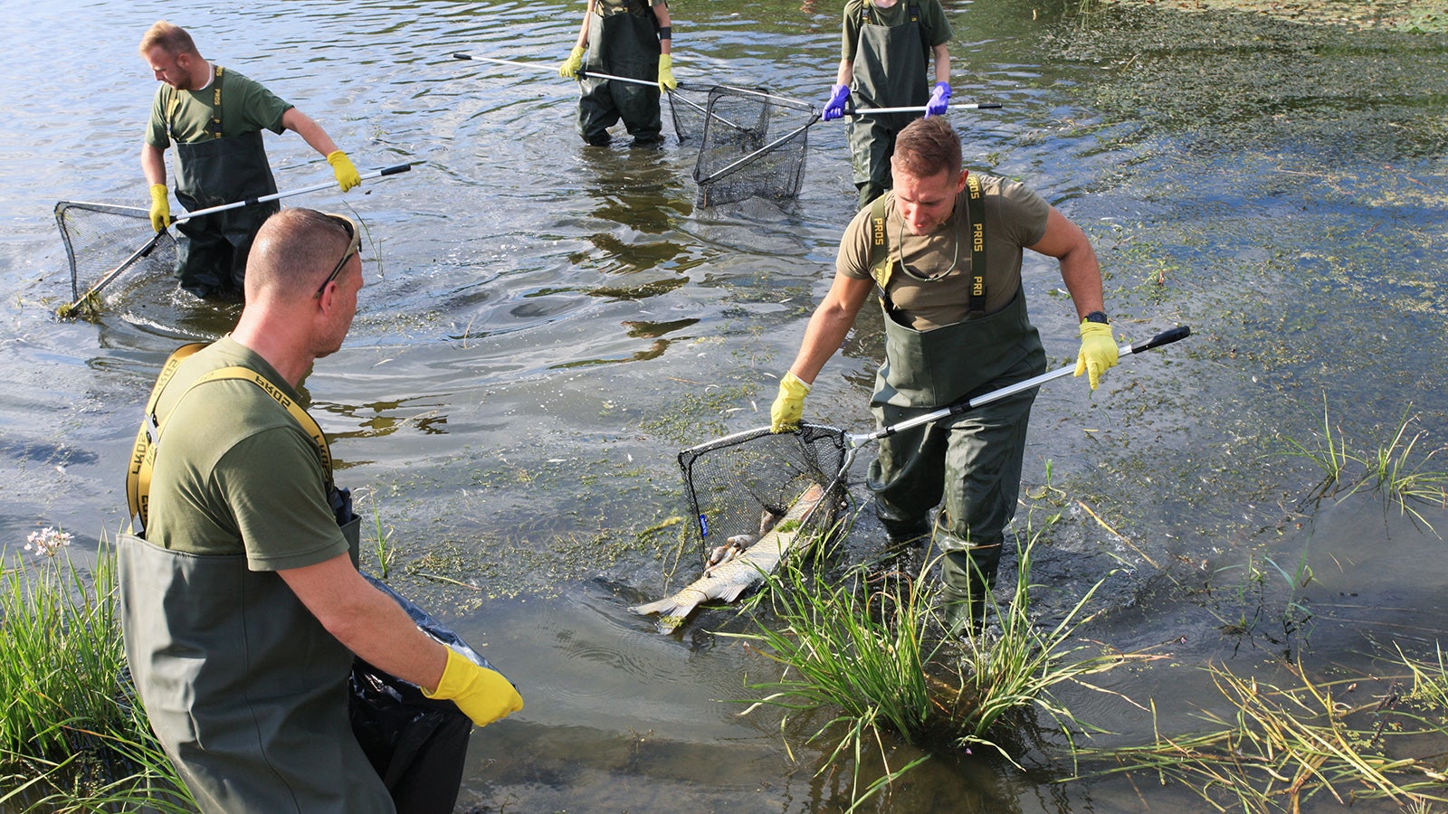 12.08.2022, Polen, Slubice: Soldaten und Feuerwehrleute entfernen tote Fische aus der Oder. Erh&ouml;hte Quecksilberwerte sind nach Angaben der polnischen Regierung nicht die Ursache f&uuml;r das Fischsterben in der Oder. Foto: Lech Muszynski/PAP/dpa +++ dpa-Bildfunk +++