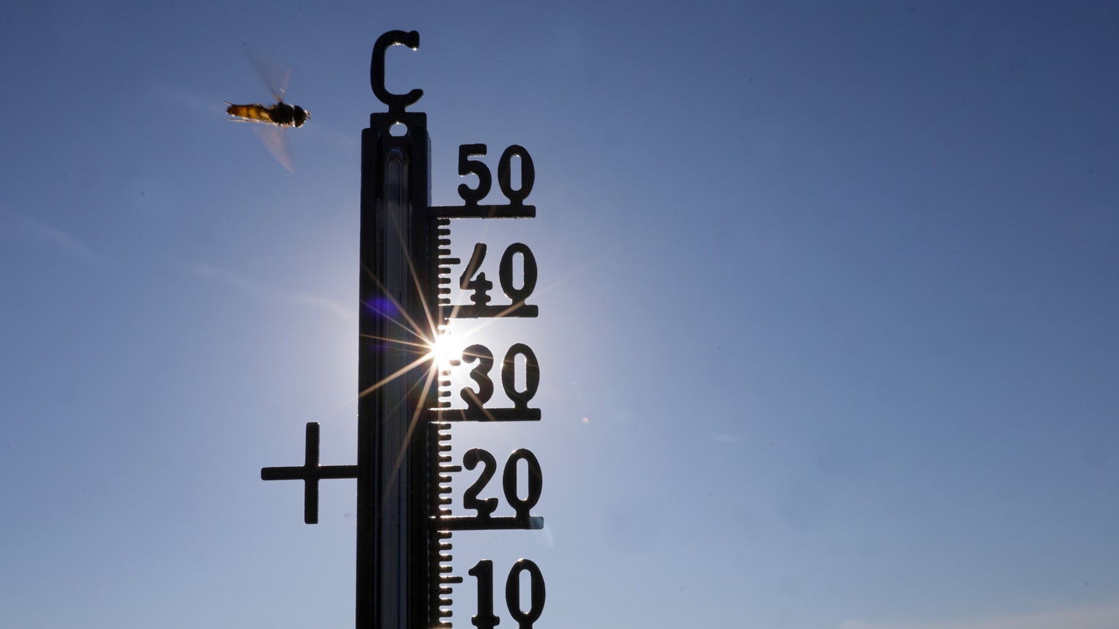 Die Sonne scheint hinter einem Thermometer, an dem eine Schwebefliege vorbeifliegt. (dpa
