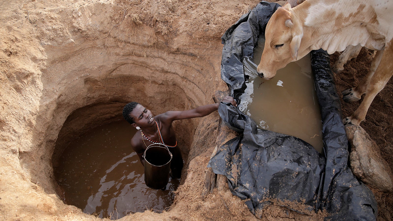Ein Samburu-Mann tr&auml;nkt K&uuml;he im Dorf Kom im Bezirk Samburu mit Wasser aus einem Wasserloch. Generationen von Ostafrikanern haben das Grundwasser in der W&uuml;ste genutzt um in der trockenen Umgebung zu &uuml;berleben. Die D&uuml;rreperioden in der Region verschlimmern sich aufgrund des Klimawandels. Foto: Brian Inganga/AP/dpa +++ dpa-Bildfunk +++