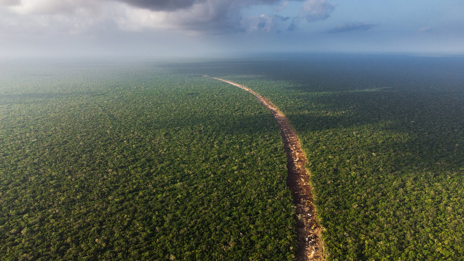 Blick auf die Strecke, die sich durch den mexikanischen Dschungel zieht.  Foto: Fernando Martinez Belmar/FMB/dpa