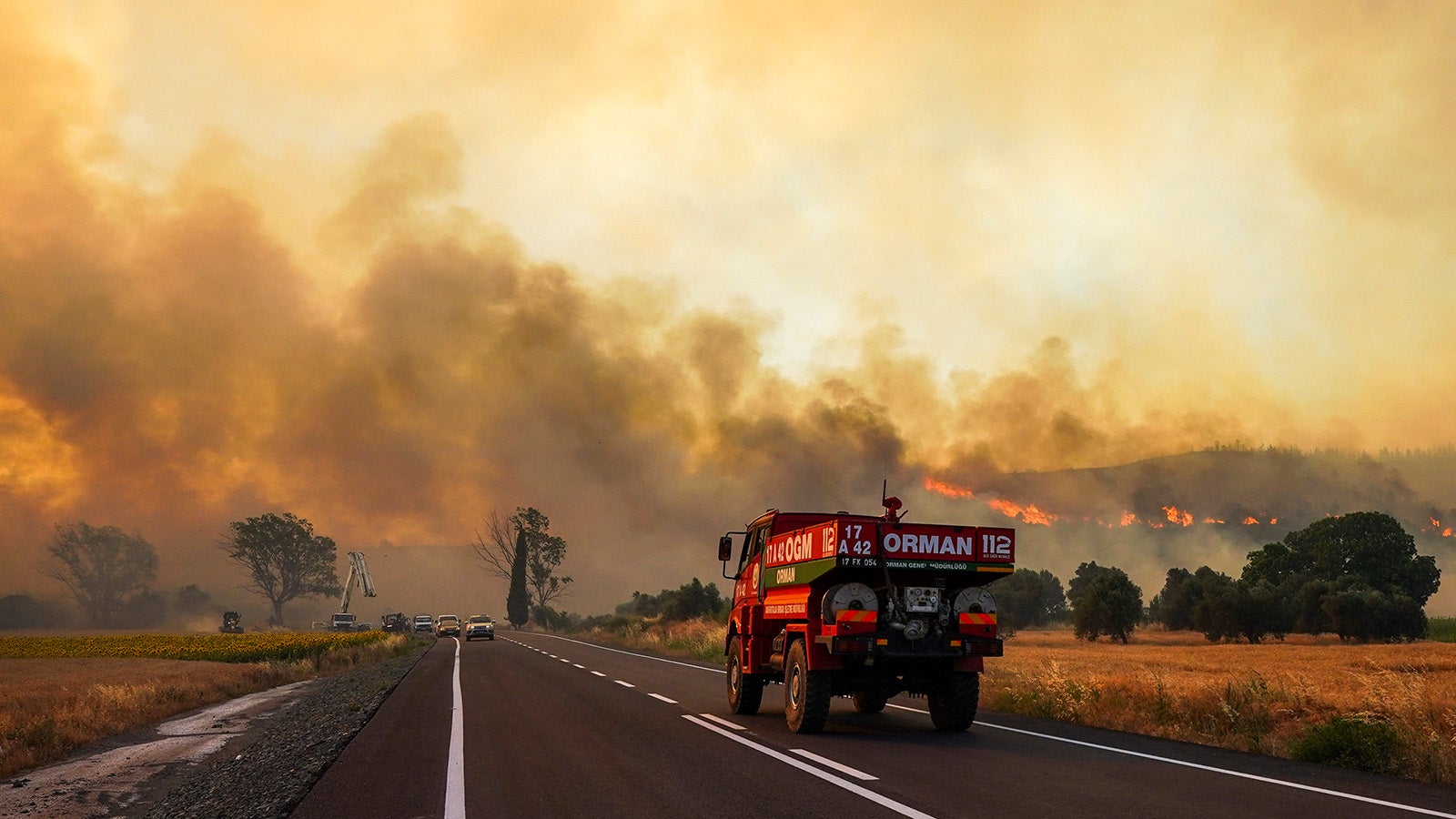 dpatopbilder - 18.06.2024, T&uuml;rkei, Kumk&ouml;y: Feuerwehrleute arbeiten daran, ein Feuer in der N&auml;he von Kumk&ouml;y auf der Halbinsel Gallipoli zu l&ouml;schen. Foto: Sercan Ozkurnazli/DIA Photo/AP/dpa +++ dpa-Bildfunk +++