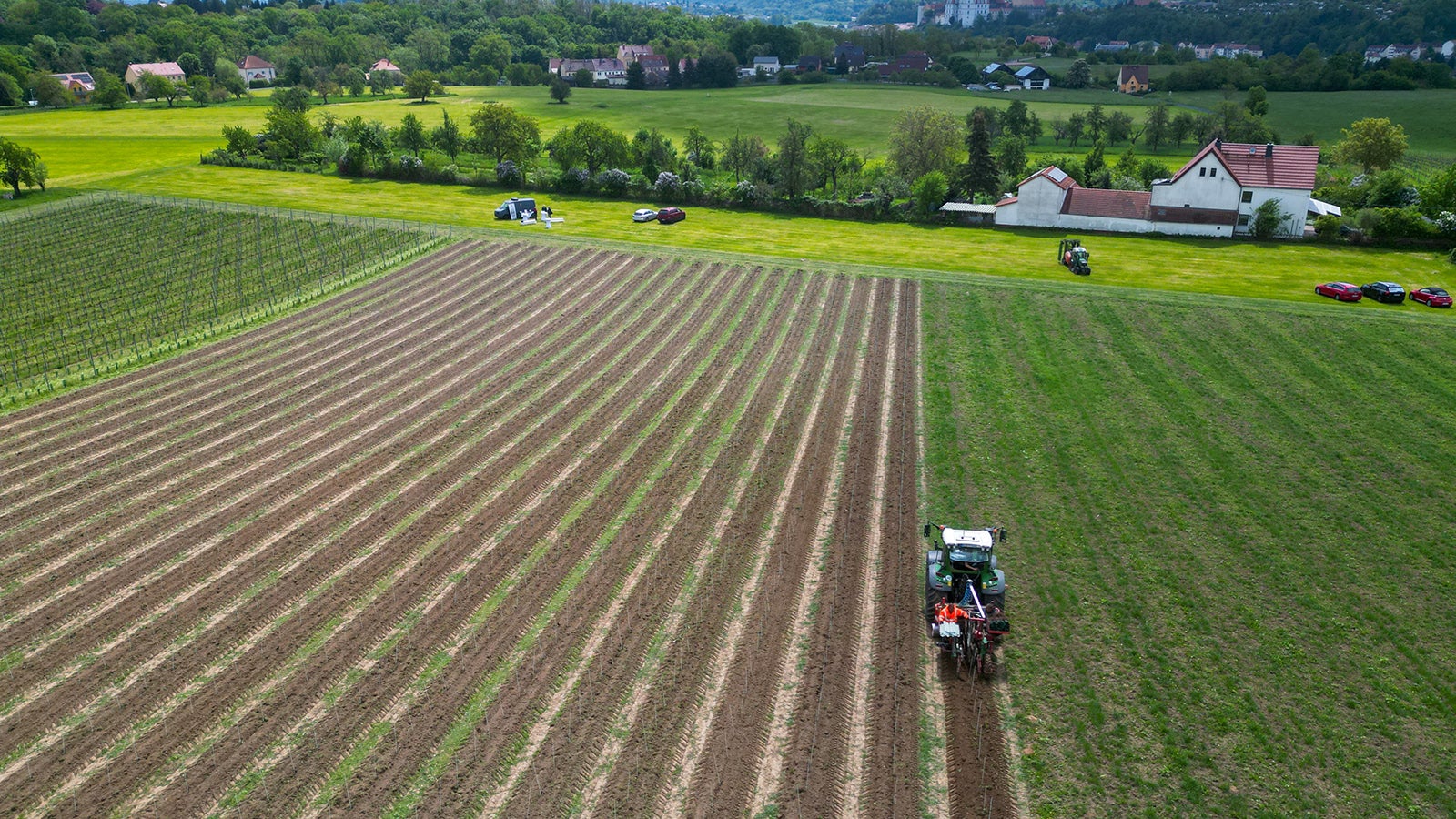 Das gr&ouml;&szlig;te s&auml;chsische Privatweingut, Schloss Proschwitz Prinz zur Lippe, setzt angesichts der Klimaver&auml;nderungen auf Bio und Hightech. Dabei werden die Winzer auch von Wissenschaftlern der Universit&auml;t Leipzig unterst&uuml;tzt. Foto: Hendrik Schmidt/dpa +++ dpa-Bildfunk +++