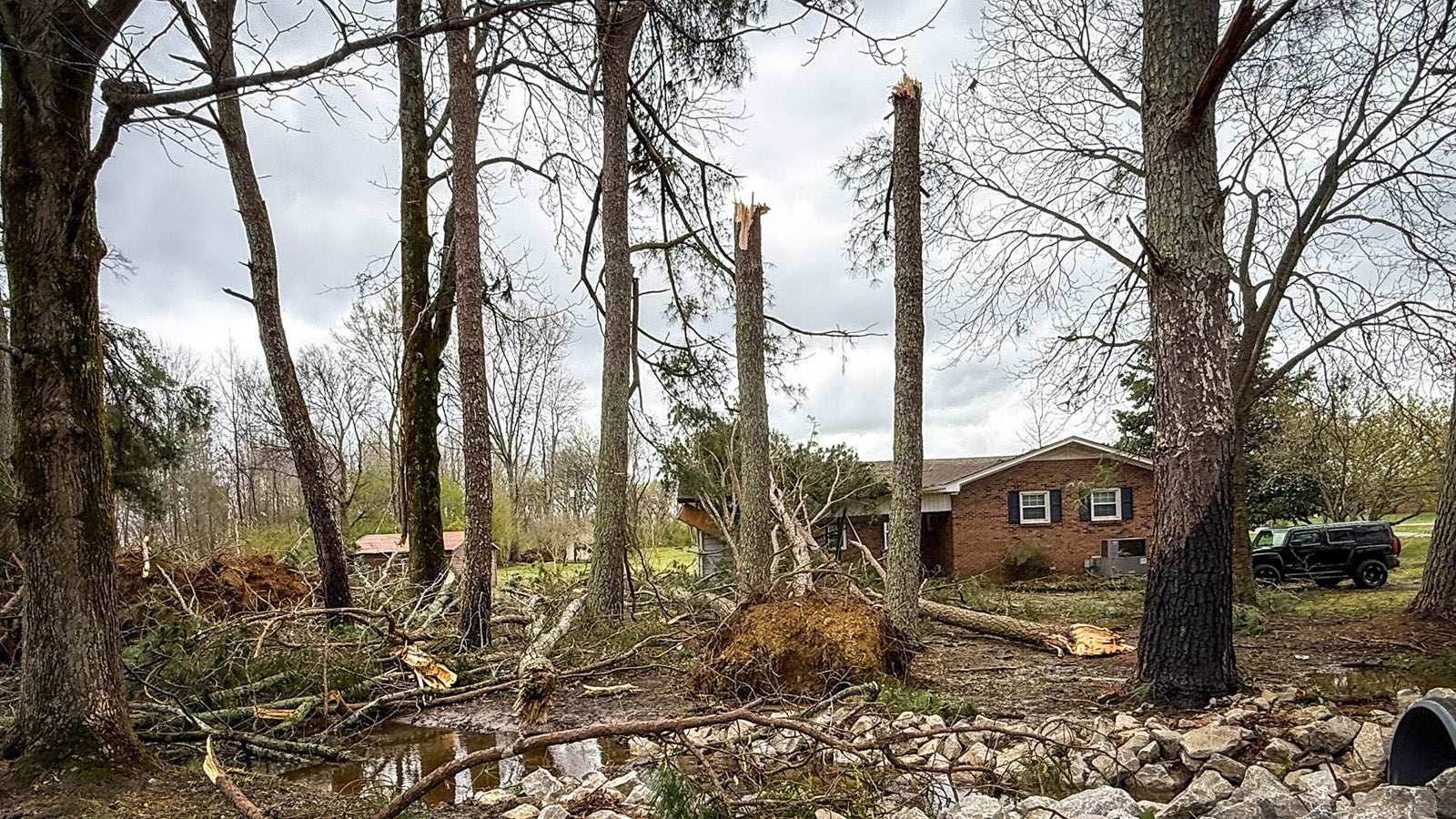 Snapped and uprooted trees surround a home along Chad Avenue in Lexington, Ala., on Monday, March 16, 2026, following a tornado that struck northeastern Lauderdale County on Sunday night. (Dan Busey/The TimesDaily via AP)