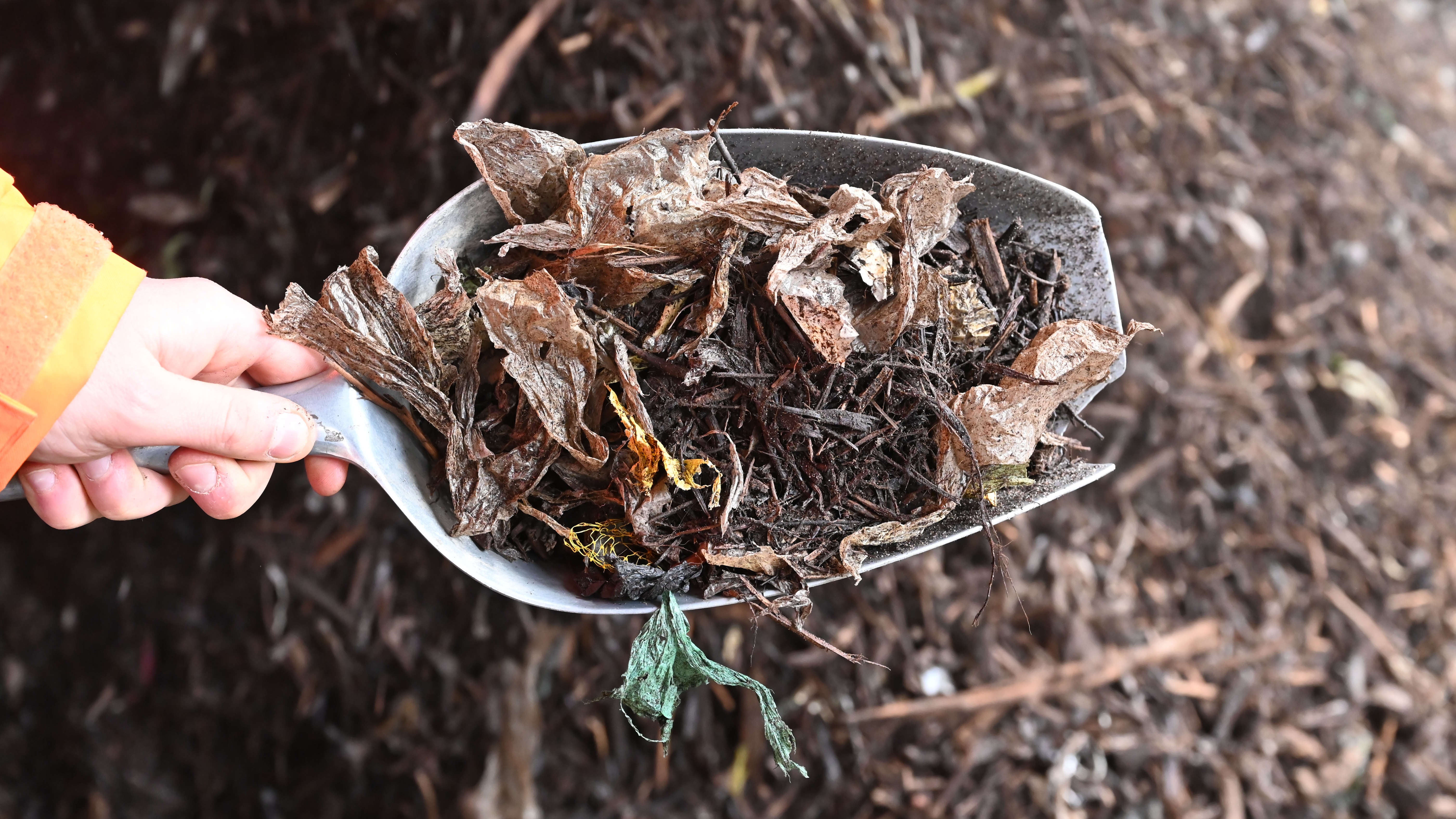 PRODUKTION - 25.04.2023, Baden-W&uuml;rttemberg, Bad Rappenau: Bei der Firma Bauer werden sortenunreine R&uuml;ckst&auml;nde gezeigt, die sich in Bioabfall vom Inhalt von Biom&uuml;lltonnen befunden haben.  (zu dpa: &laquo;Wenn drin ist, was nicht reingeh&ouml;rt - Fehlw&uuml;rfe im Biom&uuml;ll&raquo;) Foto: Uli Deck/dpa +++ dpa-Bildfunk +++