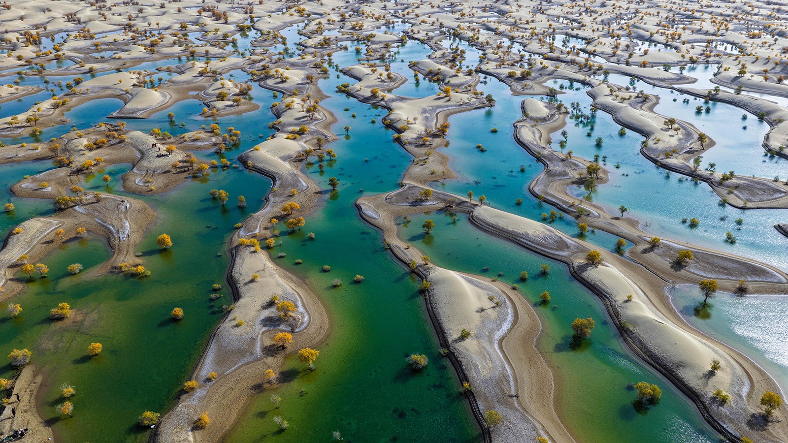 20.10.2025, China, Hotan: Ein Drohnenfoto zeigt die Landschaft der Euphratica-W&auml;lder an einem See im Kreis Hotan der Pr&auml;fektur Hotan in der nordwestchinesischen Autonomen Region Xinjiang-Uigur. Die Populus euphratica-W&auml;lder in Hotan in Xinjiang sind in letzter Zeit am besten zu sehen und bieten ein atemberaubendes Herbstbild. Foto: Xin Yuewei/XinHua/dpa +++ dpa-Bildfunk +++