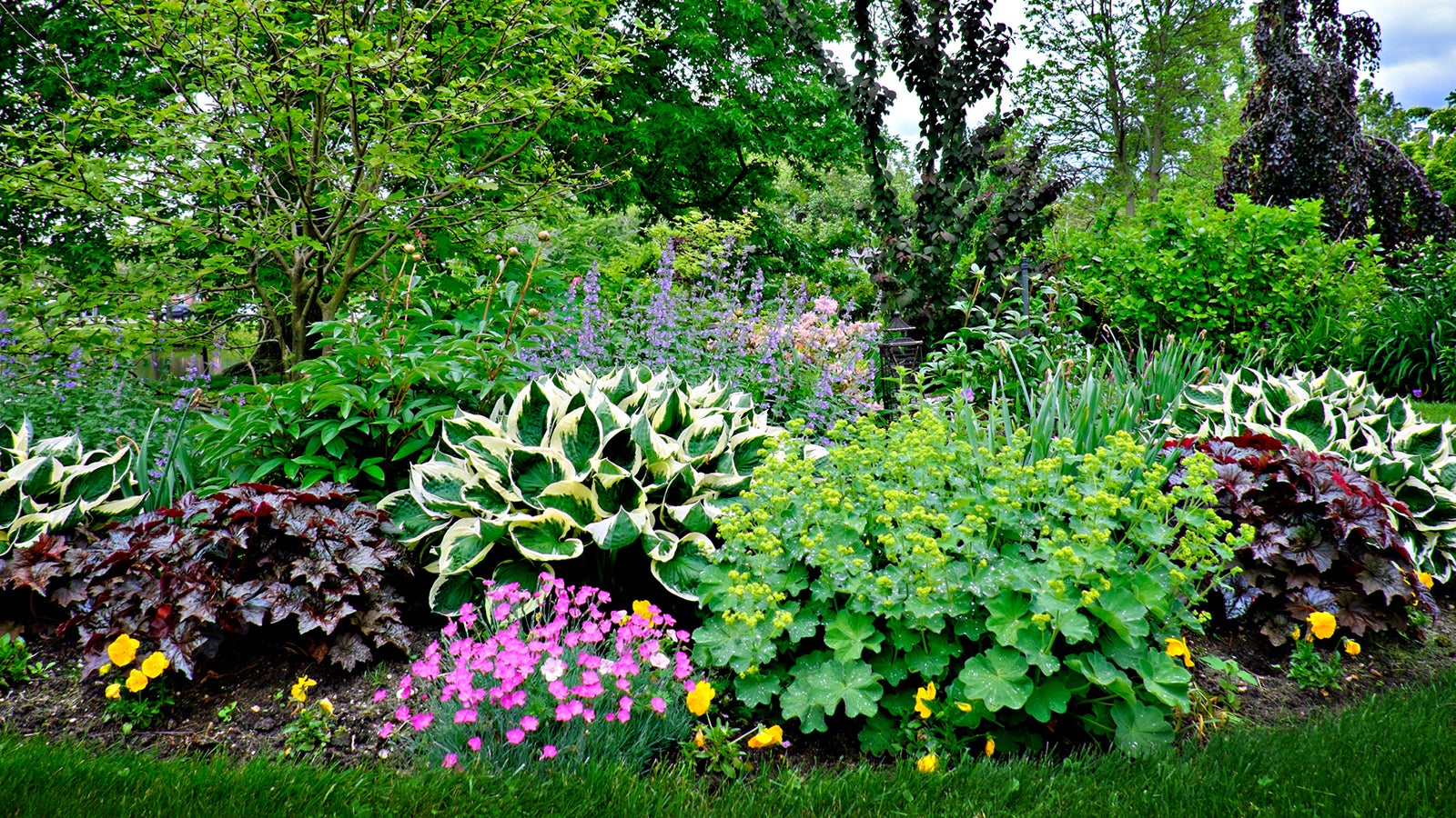 Formal garden in Babylon, Long Island with amazing display of flowers and plants in bloom in May against a beautiful blue sky.