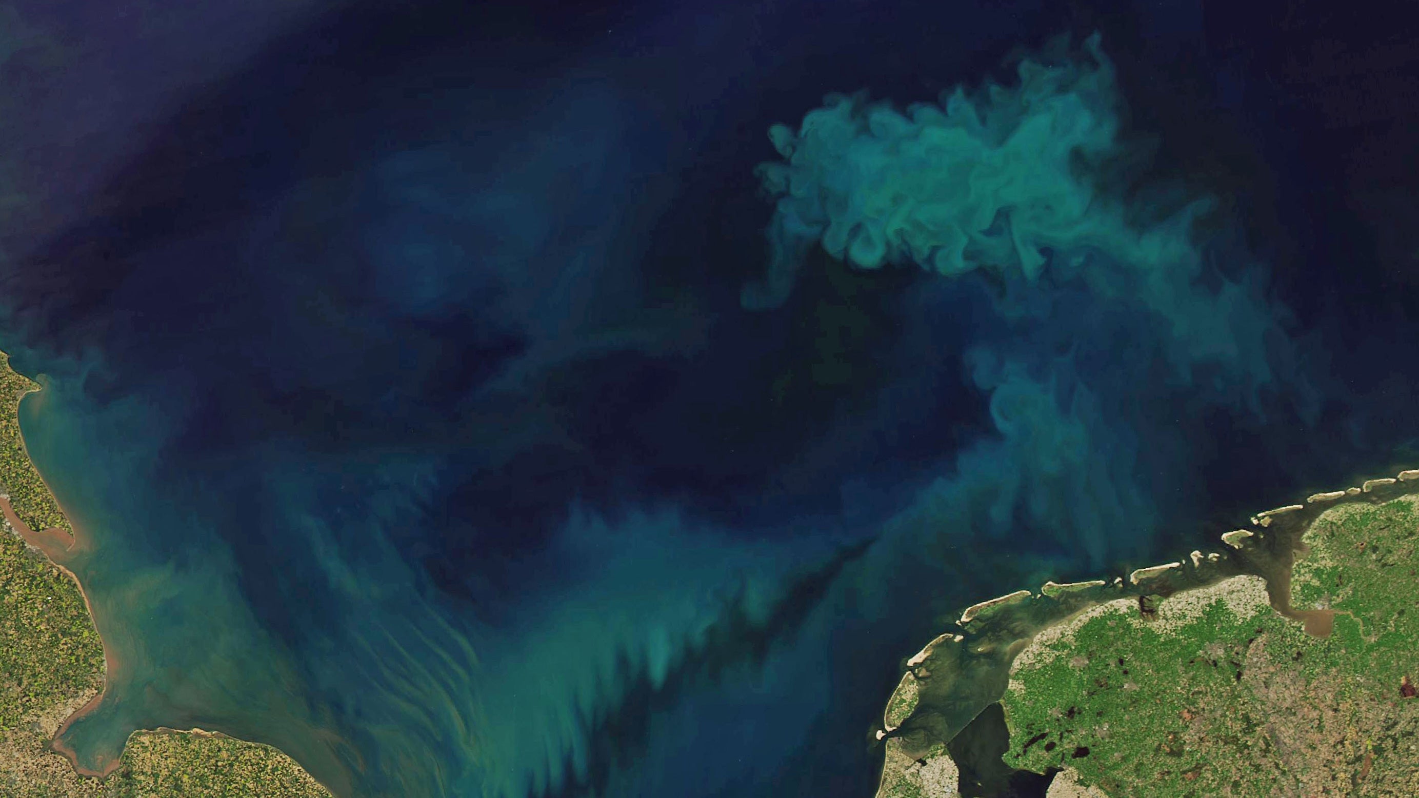 HANDOUT - Caption

To track the changes in ocean color, scientists analyzed measurements of ocean color taken by the Moderate Resolution Imaging Spectroradiometer (MODIS) aboard the Aqua satellite, which has been monitoring ocean color for 21 years.

Credit

NASA and Joshua Stevens, using Landsat data from the U.S. Geological Survey and MODIS data from LANCE/EOSDIS Rapid Response.

Usage Restrictions

Credit must be given to the creator. No derivatives or adaptations of the work are permitted.

License

CC BY-ND Foto: NASA and Joshua Stevens, using Landsat data from the U.S. Geological Survey and MODIS data from LANCE/EOSDIS Rapid Response.